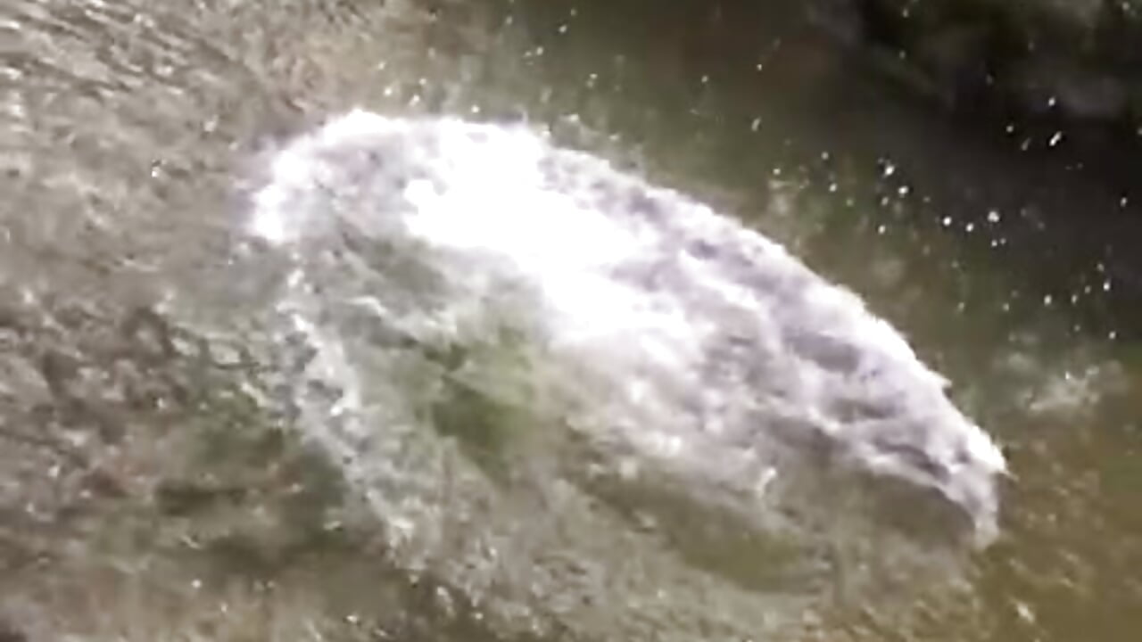 blackout9703 - Cam Model Trending Video 7937