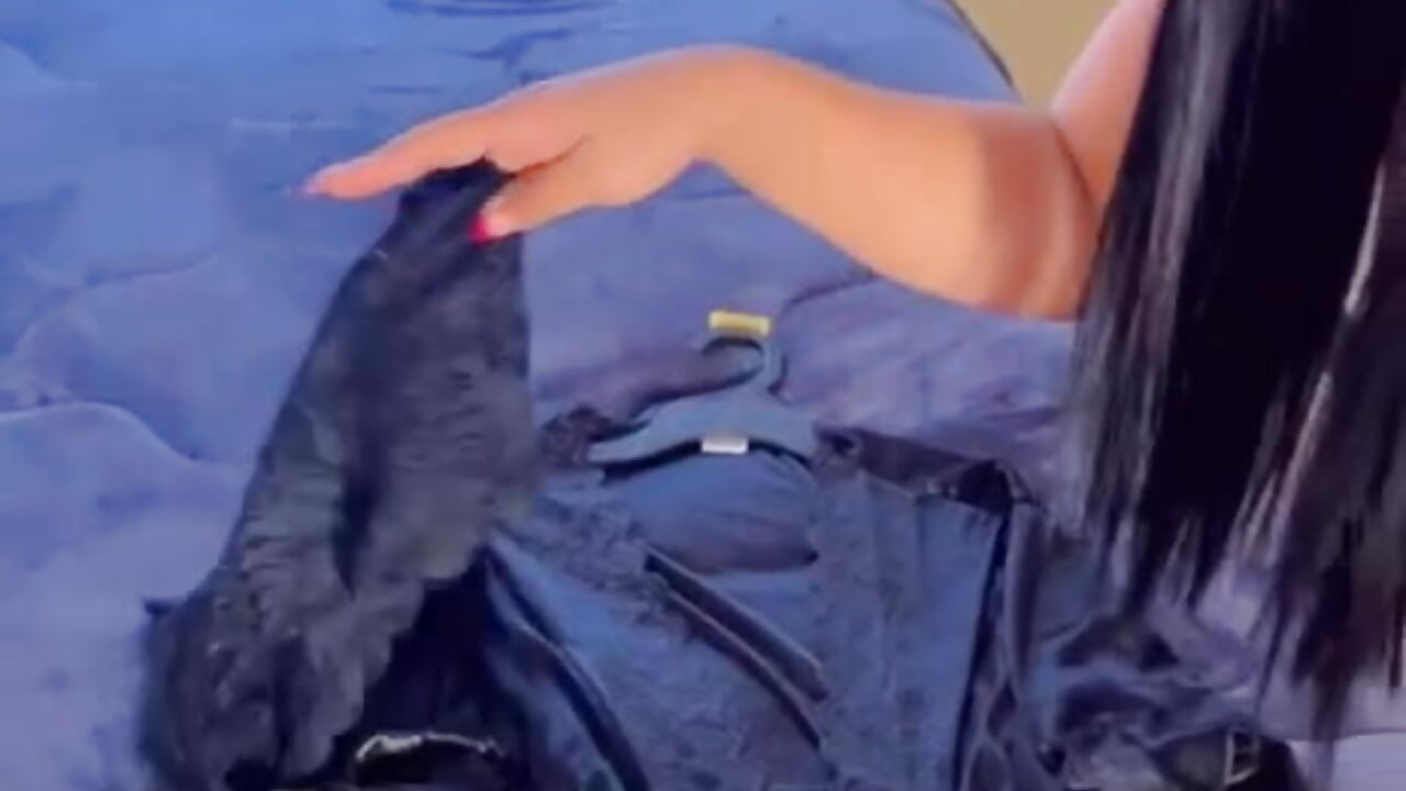 come play with me – видео вебкам-модели Susann_love