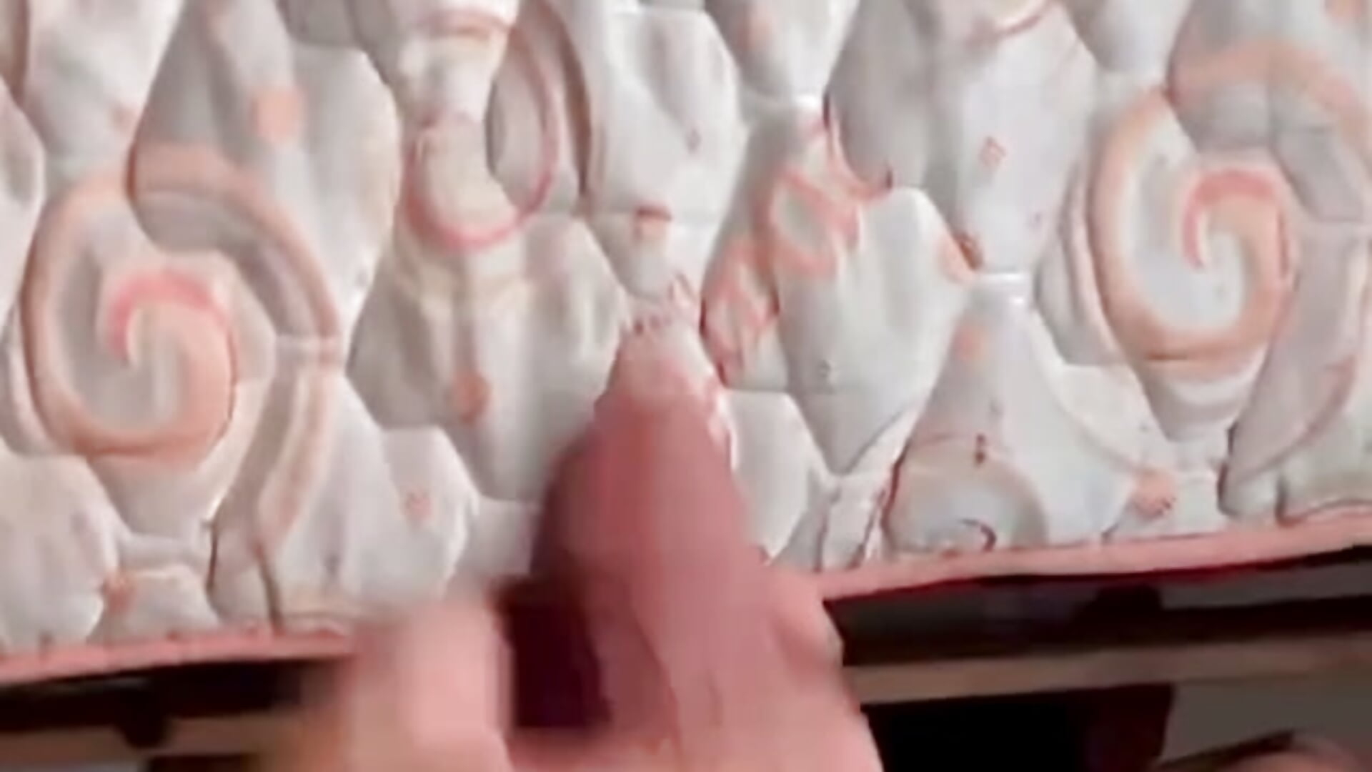 نيك الفحل 🥵