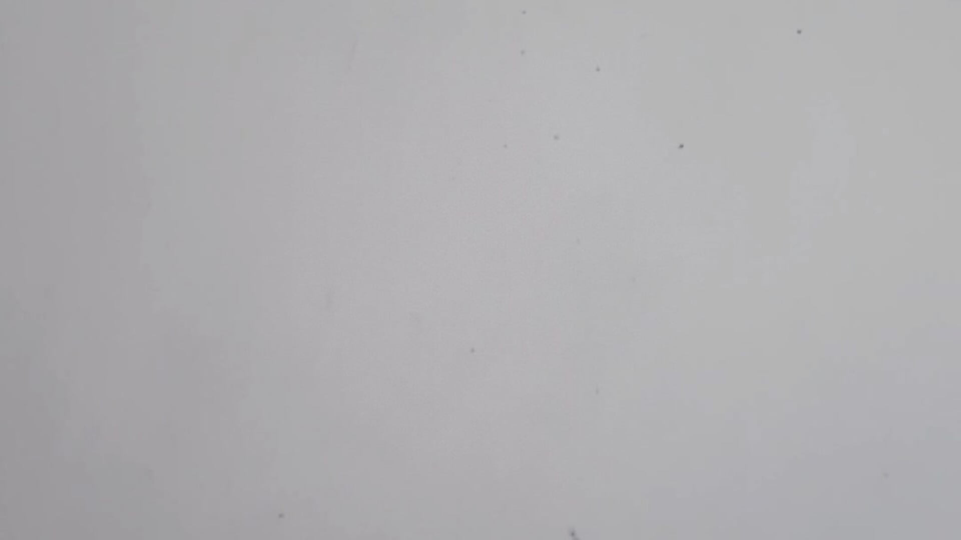 2864 - video by Karifrye cam model