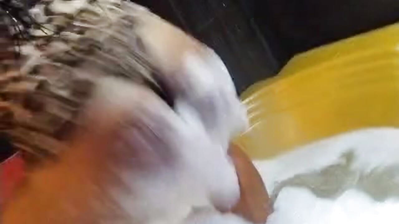 sexy dance – video af kattaleya_hot cam-model