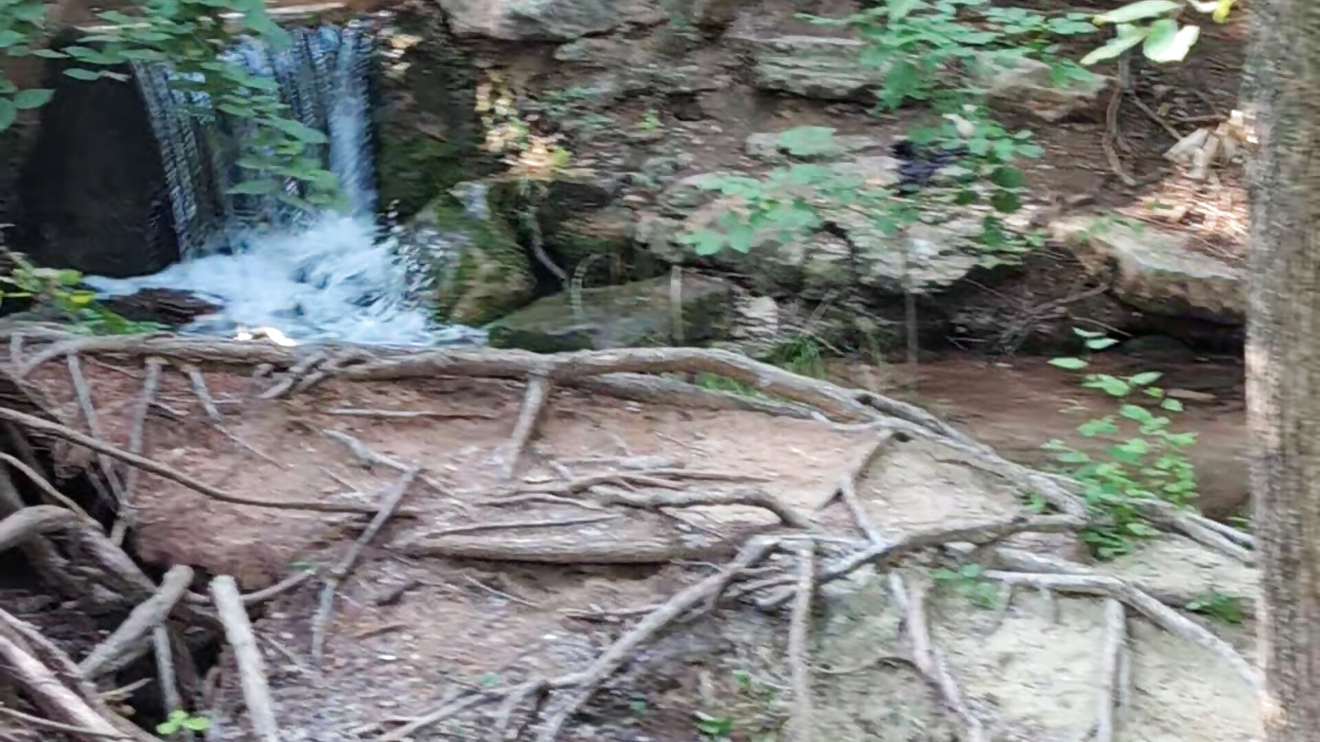 Vídeo  8565 de modelo de vídeos BigDHenny – em alta