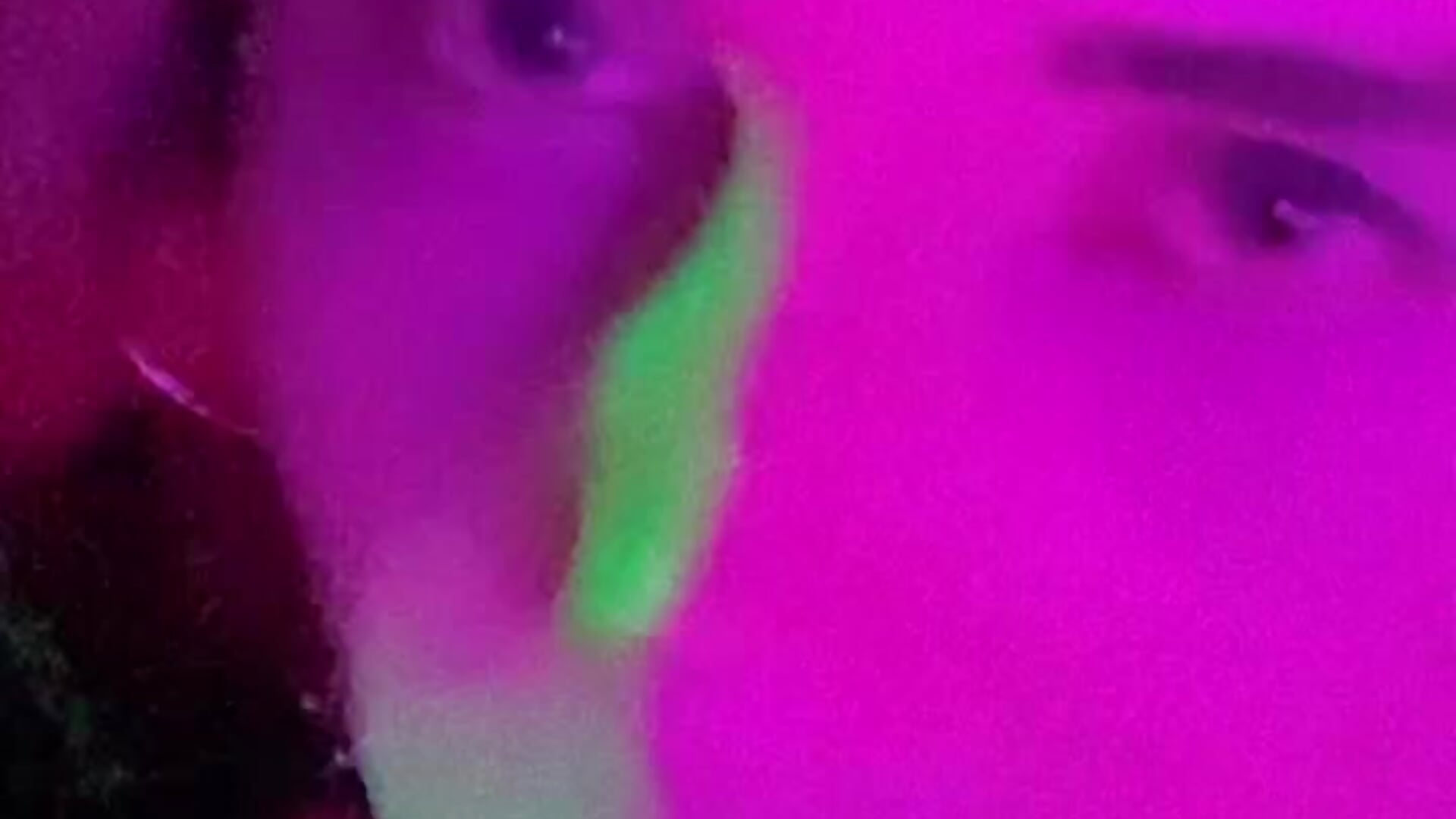 27cc00f1c02e4553adc9bcb2fd93c97d - video di DannyParker_ modella di cam