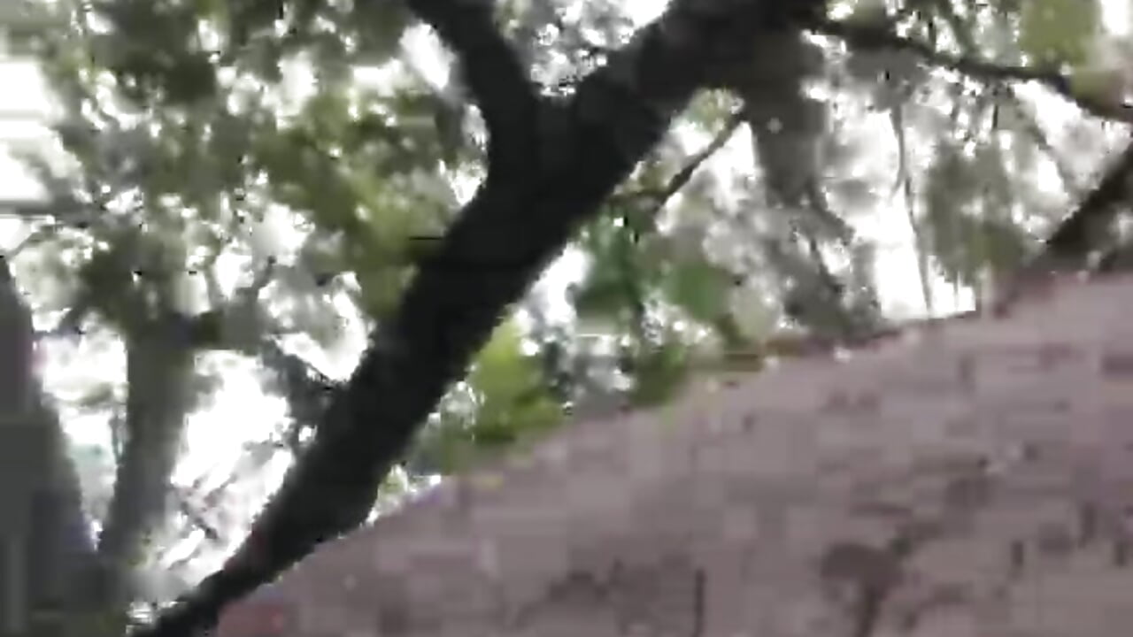 training 😏👿 - Vídeo de SARHA_ANTONELLI, modelo de vídeos