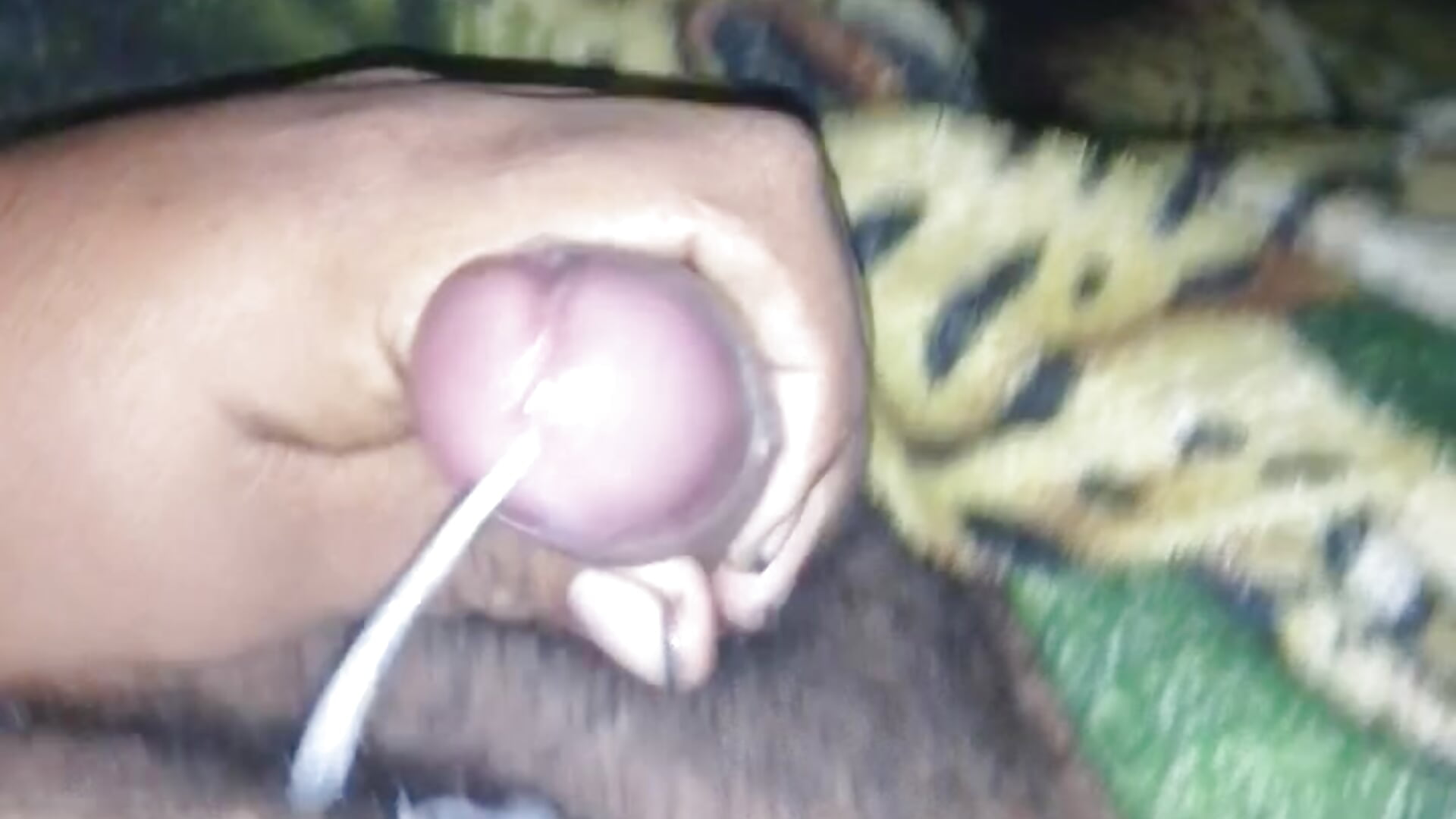 VID_20260423_042612