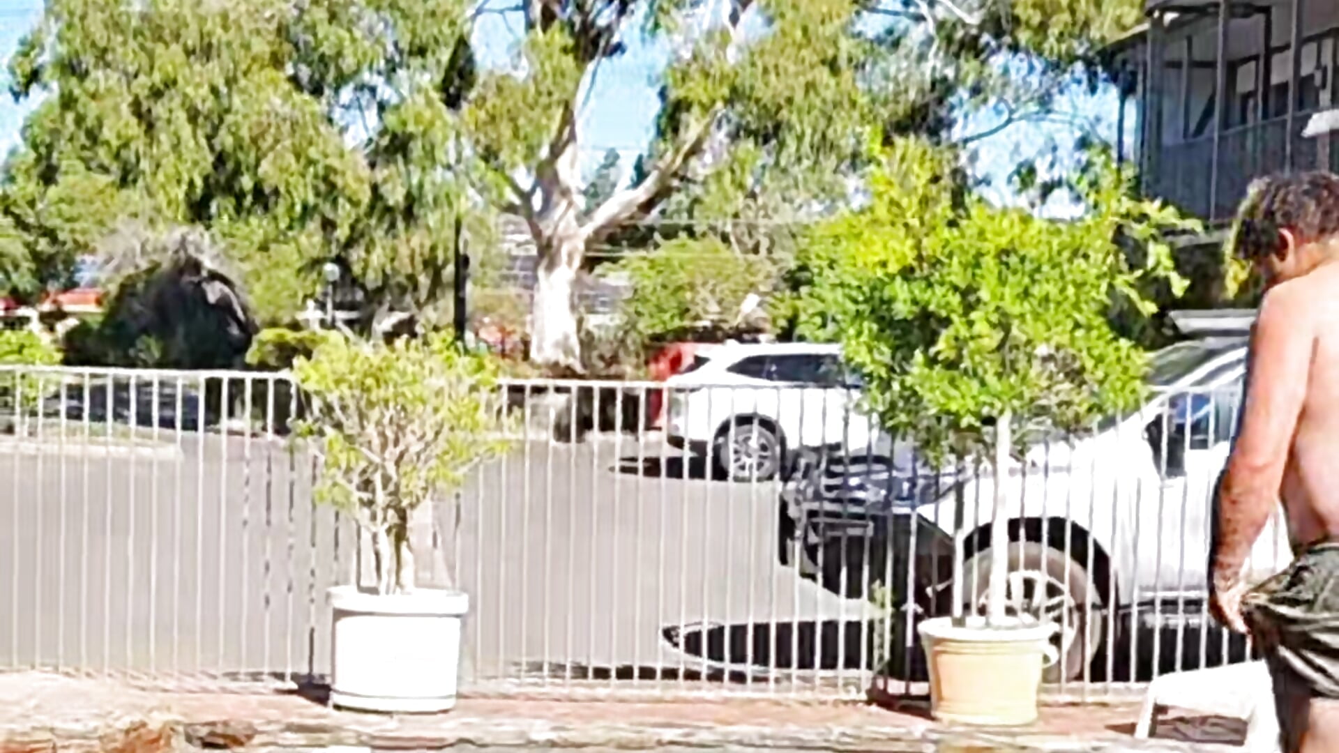 1000016541 - video van thicknjay cam-model