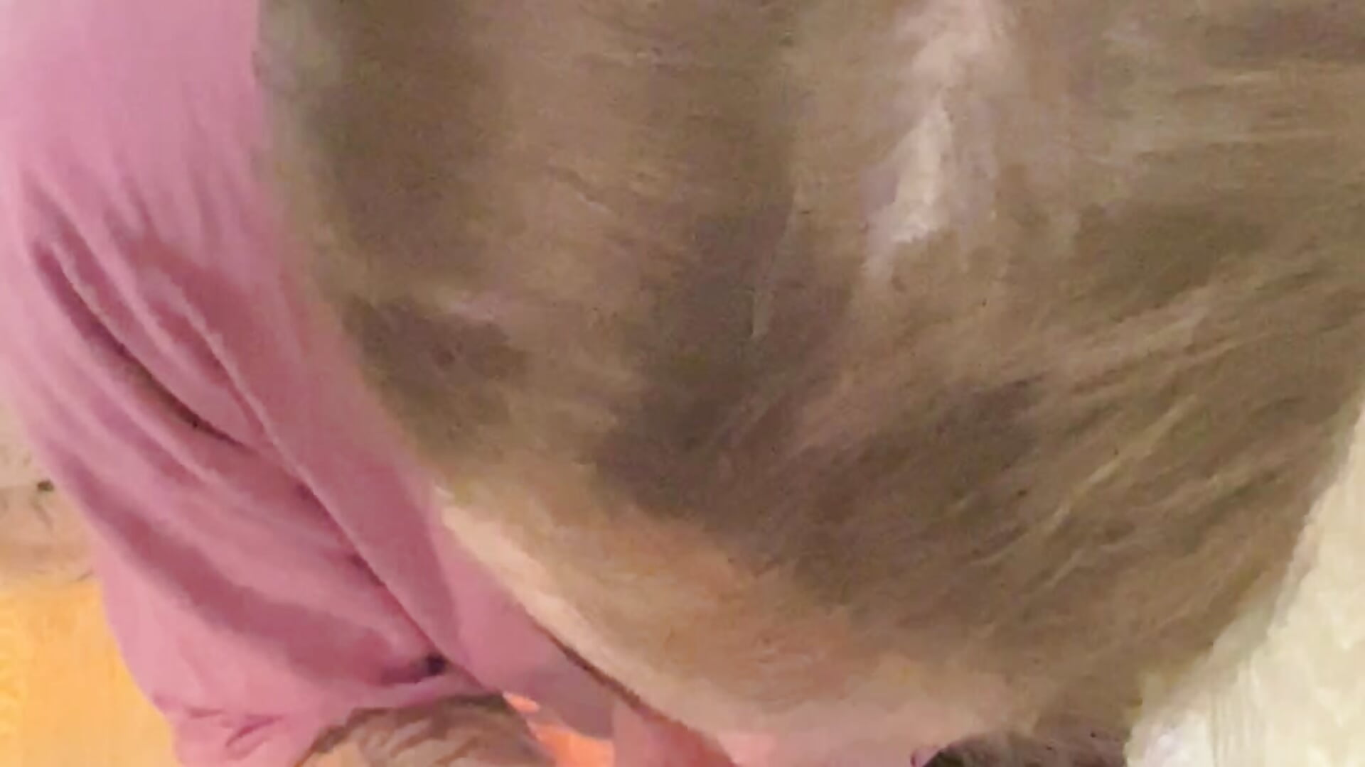 blowjob - StreetSquirt adlı kamera modelinin videosu