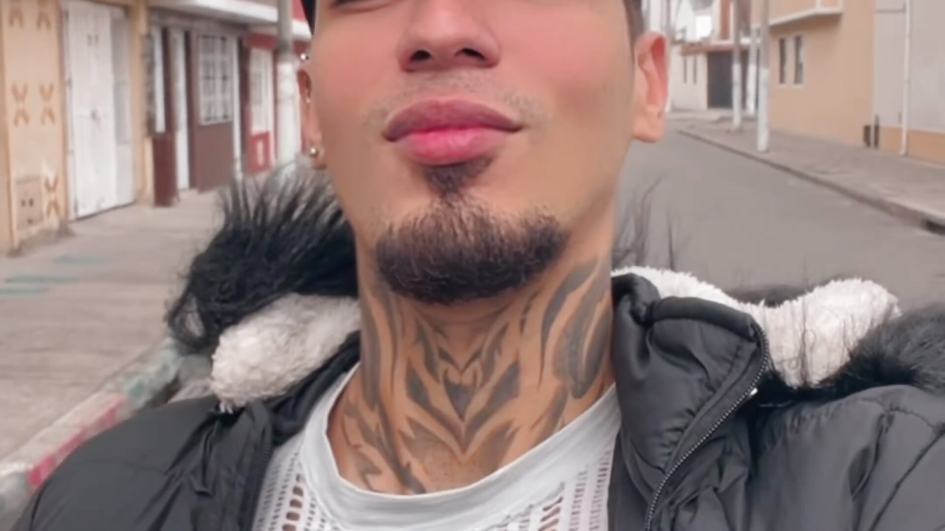 Stiward_newman - video di tendenza della modella di cam 2589