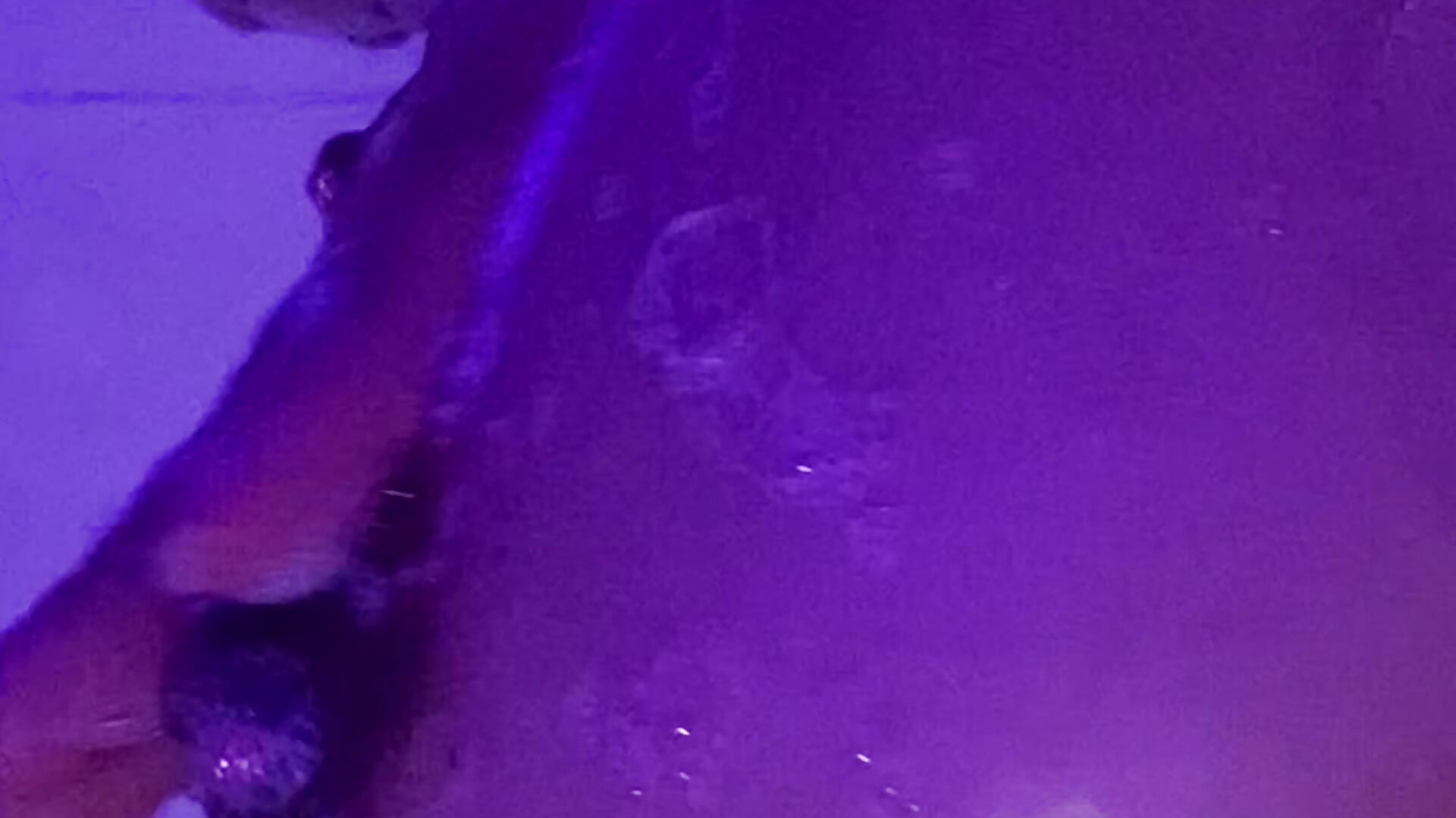 🫧 - فيديو من VenusNoir1 موديل الكام