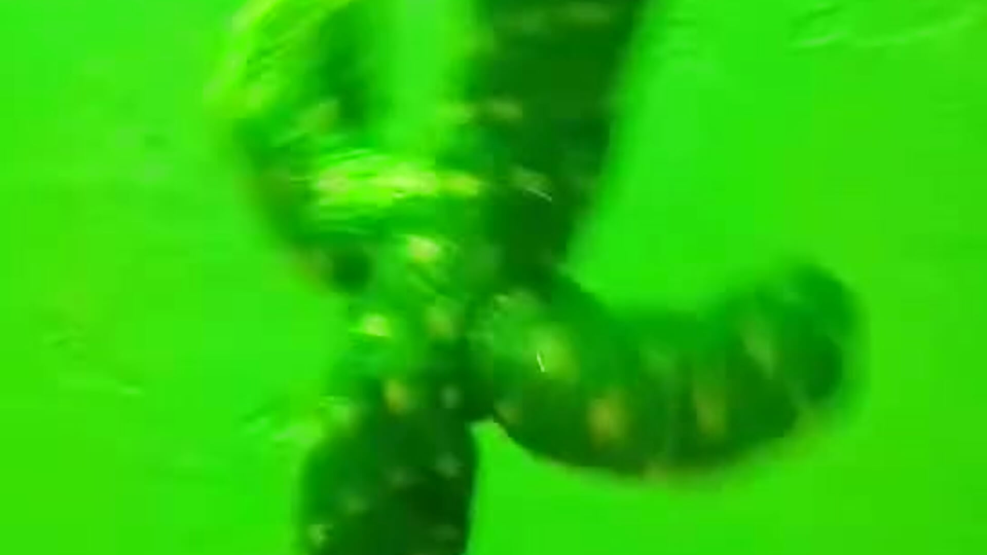 Video - video by kashish_bhabhi