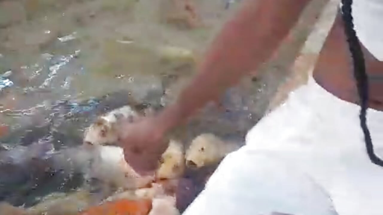 🐡A BEAUTIFUL MOMENT 🐟 - video av BEAUTIFUL_TWINK_COUPLE cam model