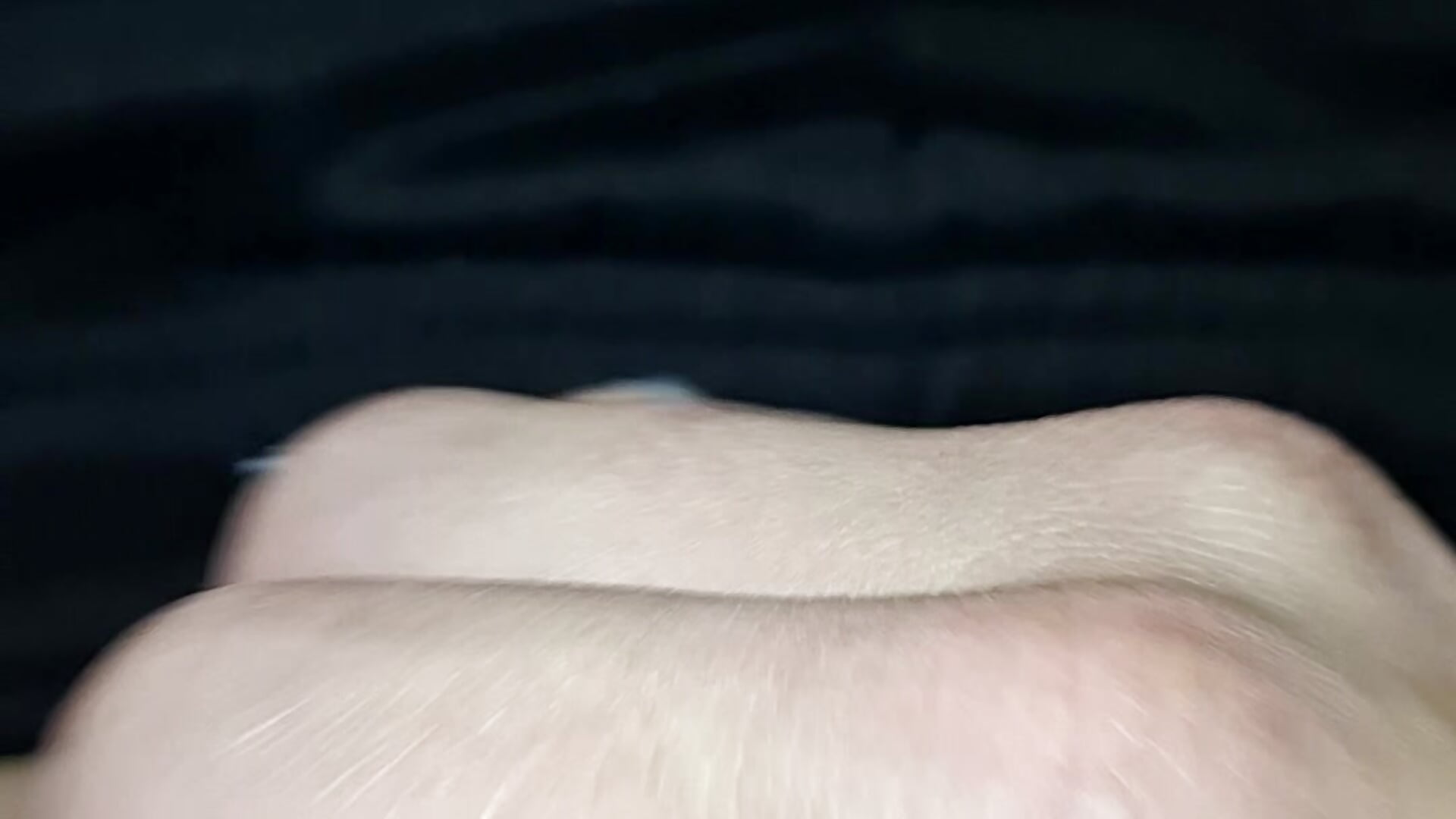 Axel1997dj - วิดีโอที่กำลังนิยมของแคมโมเดล  569