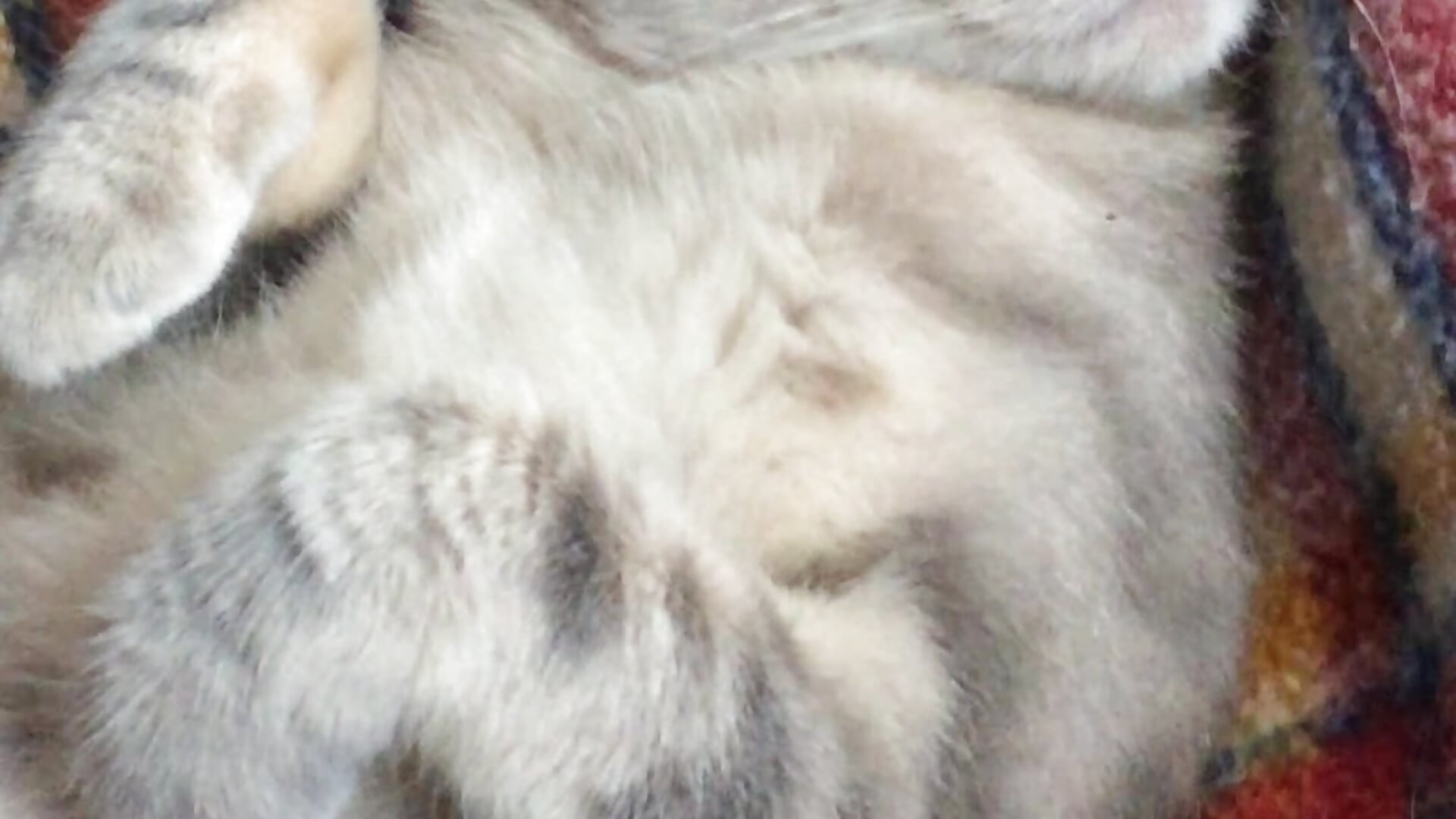 utkucan2647 - مقاطع فيديو موديل الكام الرائجة  8779