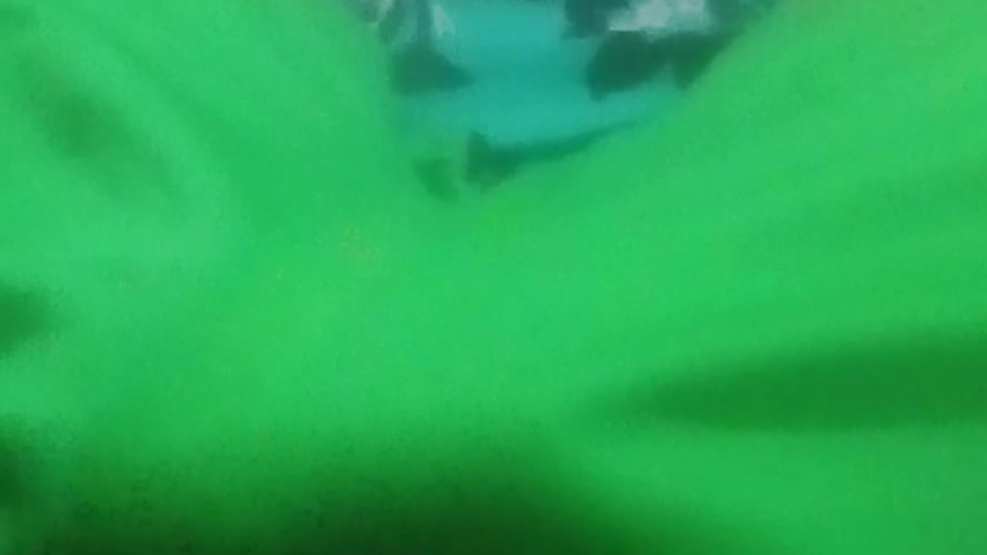 الفحل - video by BesoughtTicker cam model