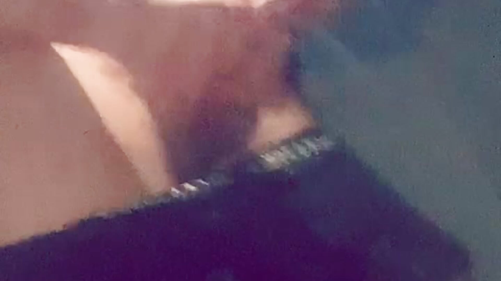 🫠😋