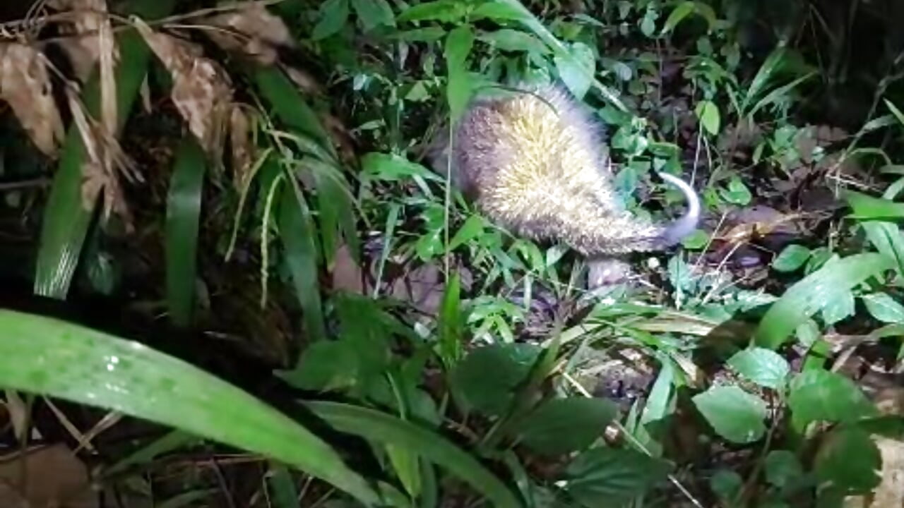 .. – video modela na kameri Bcbom