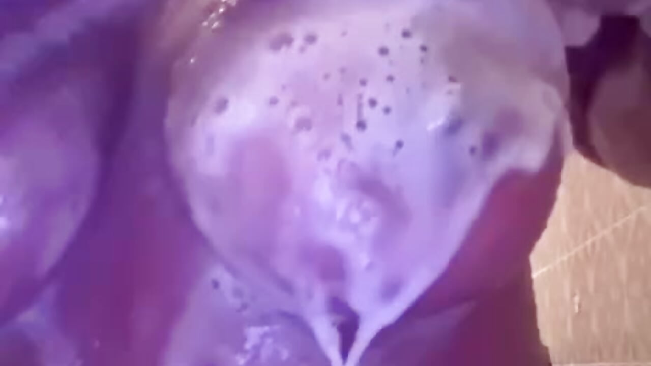 Titten duschen - bella_dauergeil adlı kamera modelinin videosu