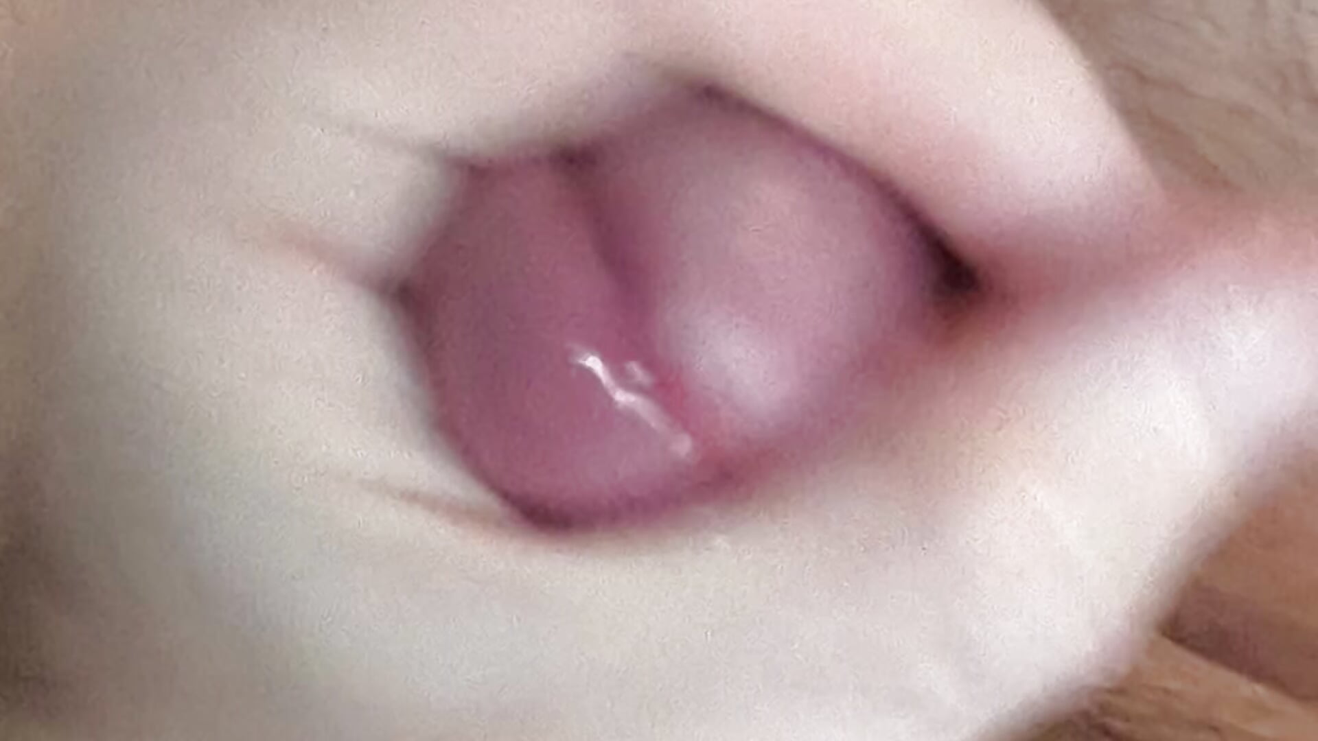 1000046034 — filmik Der_Tom_20, modela(-lki) na kamerkach