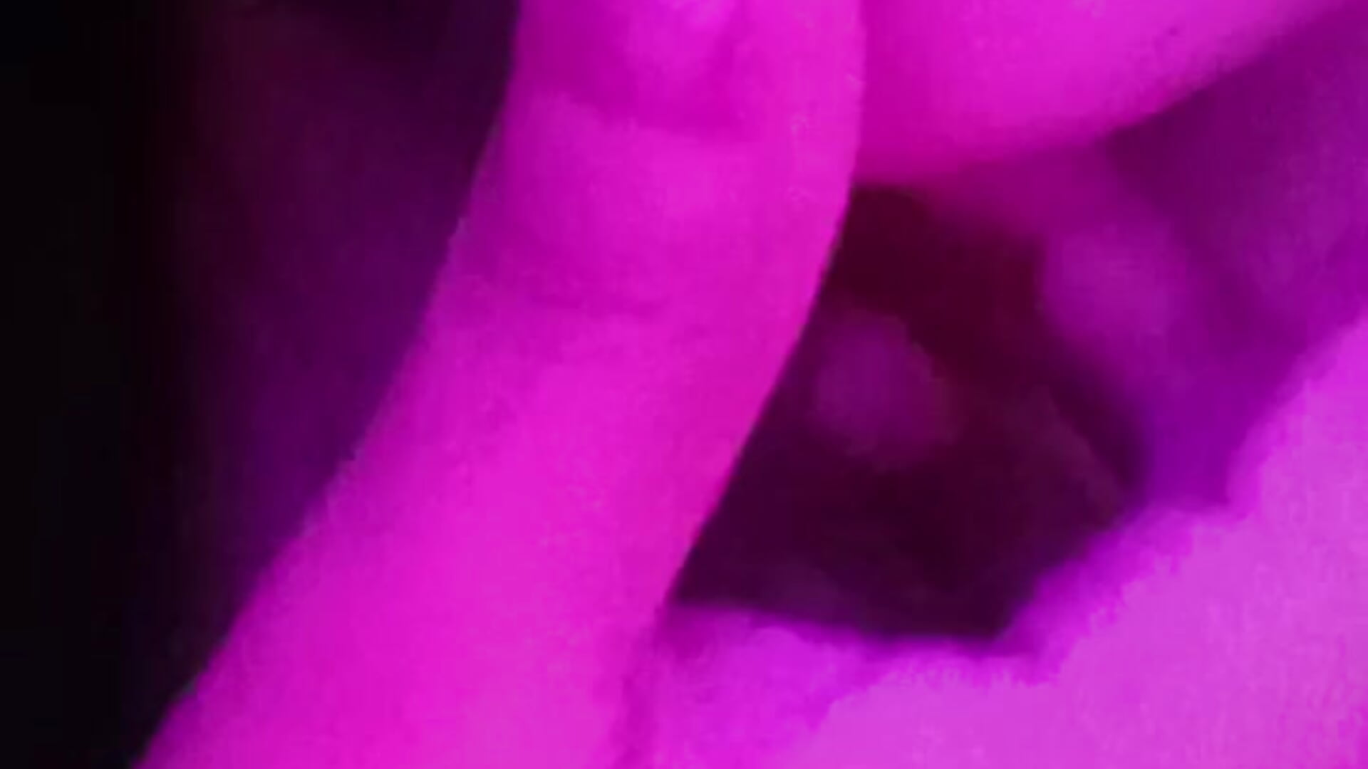 🍑🔥🔥 - video by soylula884 cam model