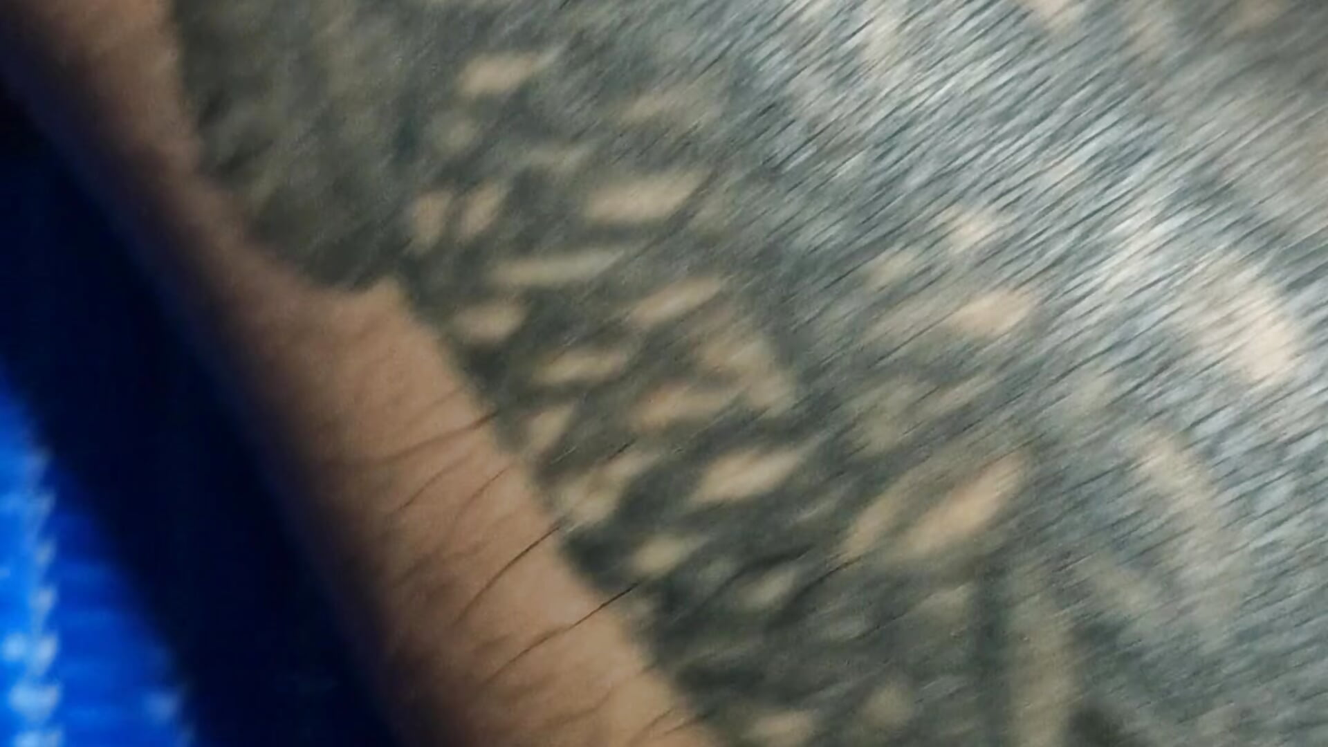 1000003813 - Indian21 adlı kamera modelinin videosu