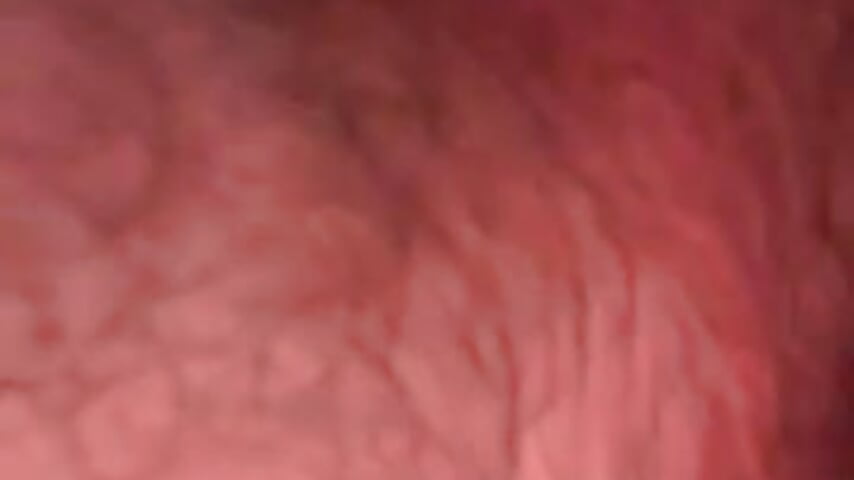 79120607404__9703819A-5E18-4533-A109-365D8191BED4 - copy 27 Jan 11:34 - video van cumpnpdump cam-model