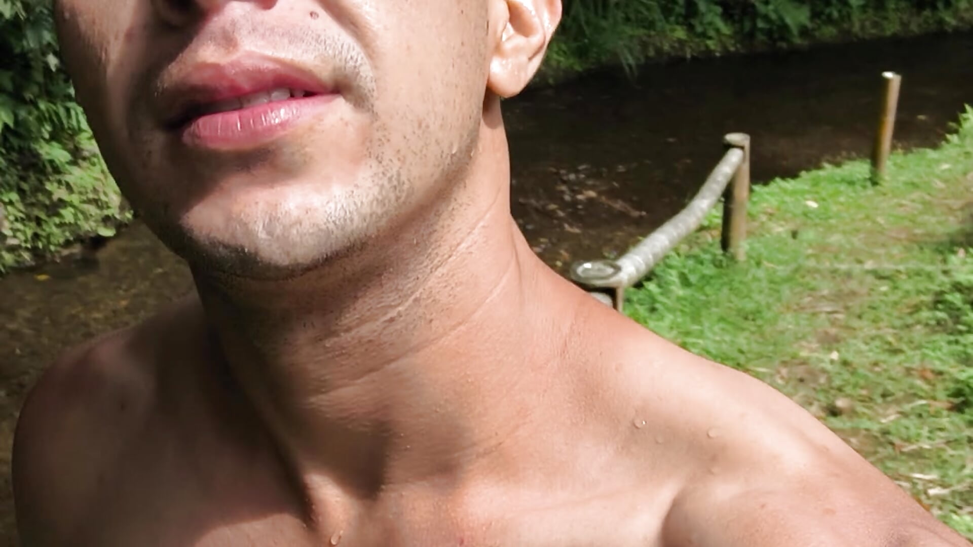 1000124936 - video van logan-31 cam-model