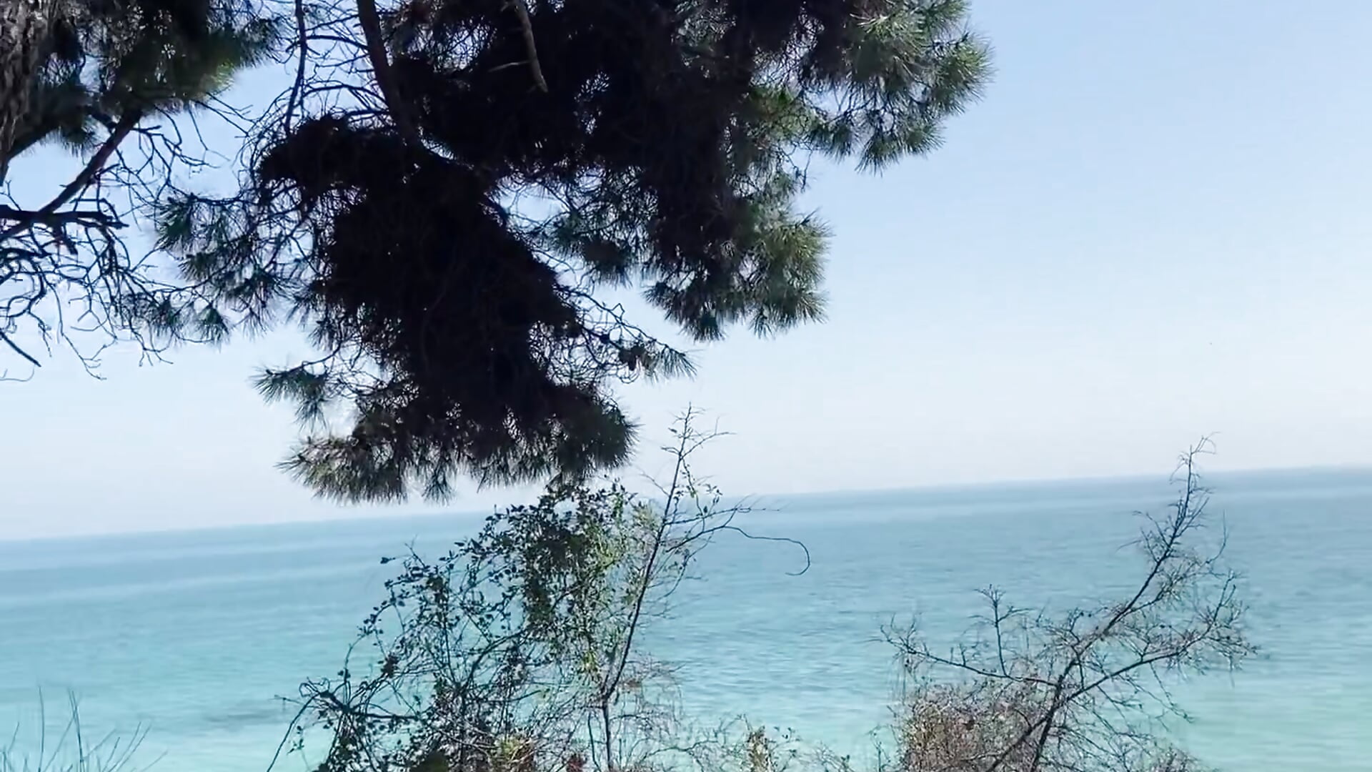 Hormones and nature - video by 888aur888 cam model