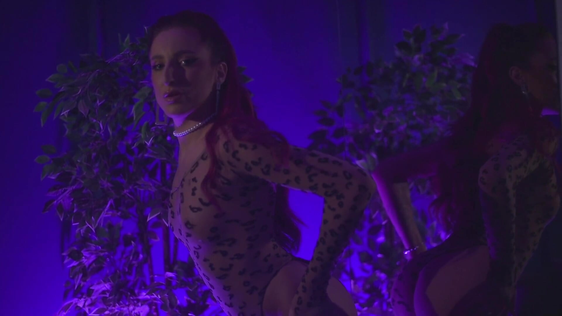 🔥🐈 - video CrystalRedd kameramallilta