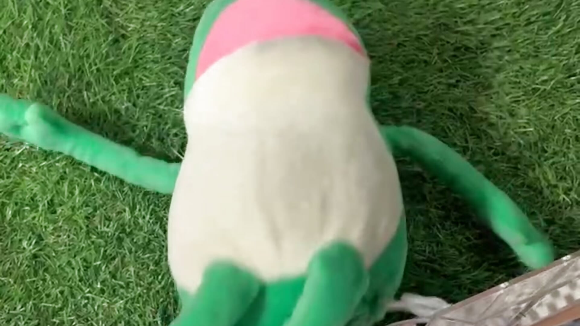 なんかシュールでつい、、、📷－カメラキャストのtao-Ch-Icupの動画