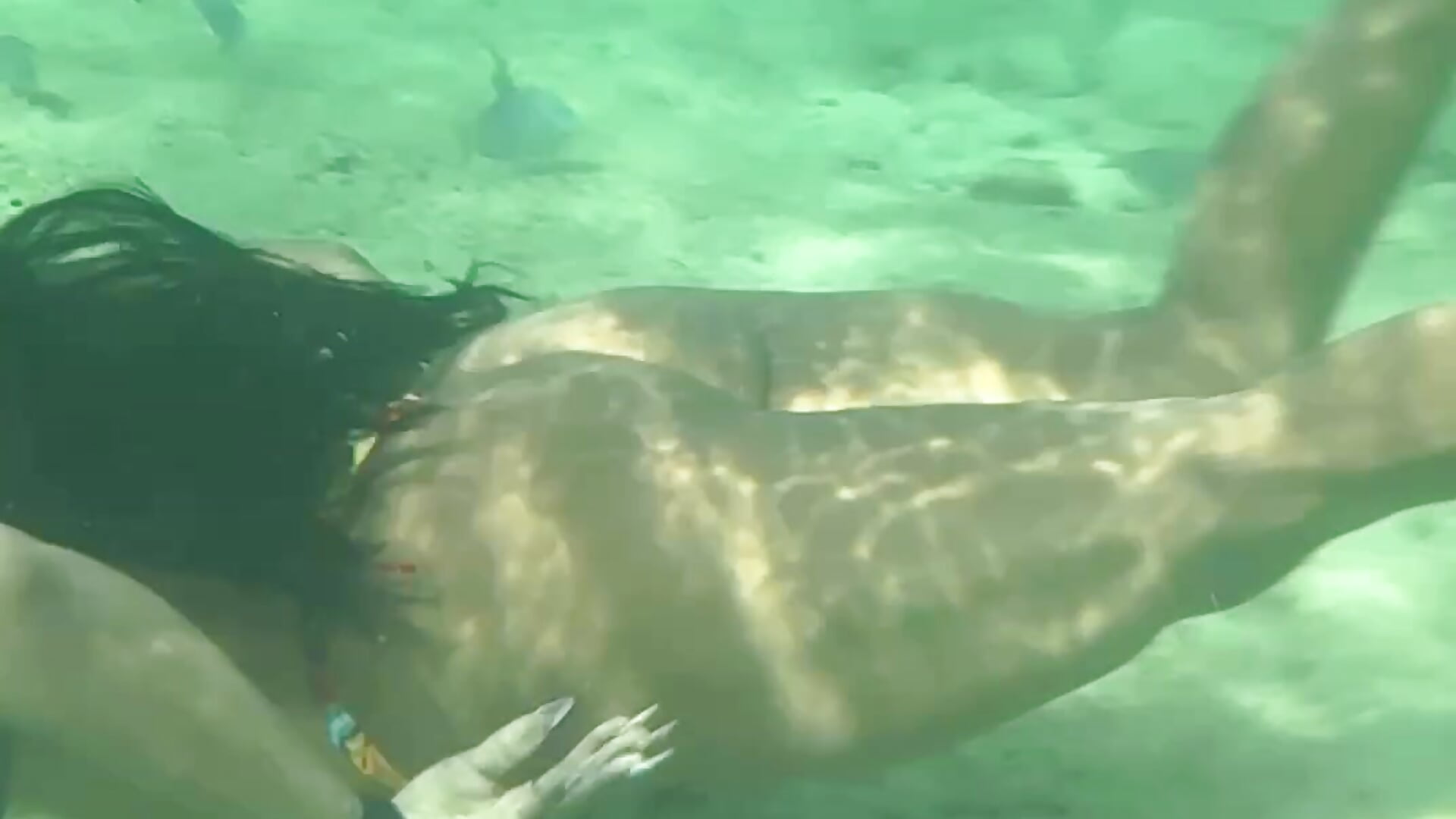 Under water🐟 - βίντεο μοντέλου Ladyy_brownn