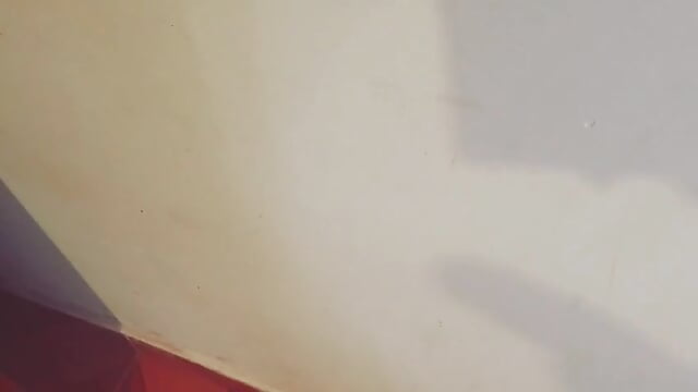 rs rs - vidéo du modèle de showcams Evansx7