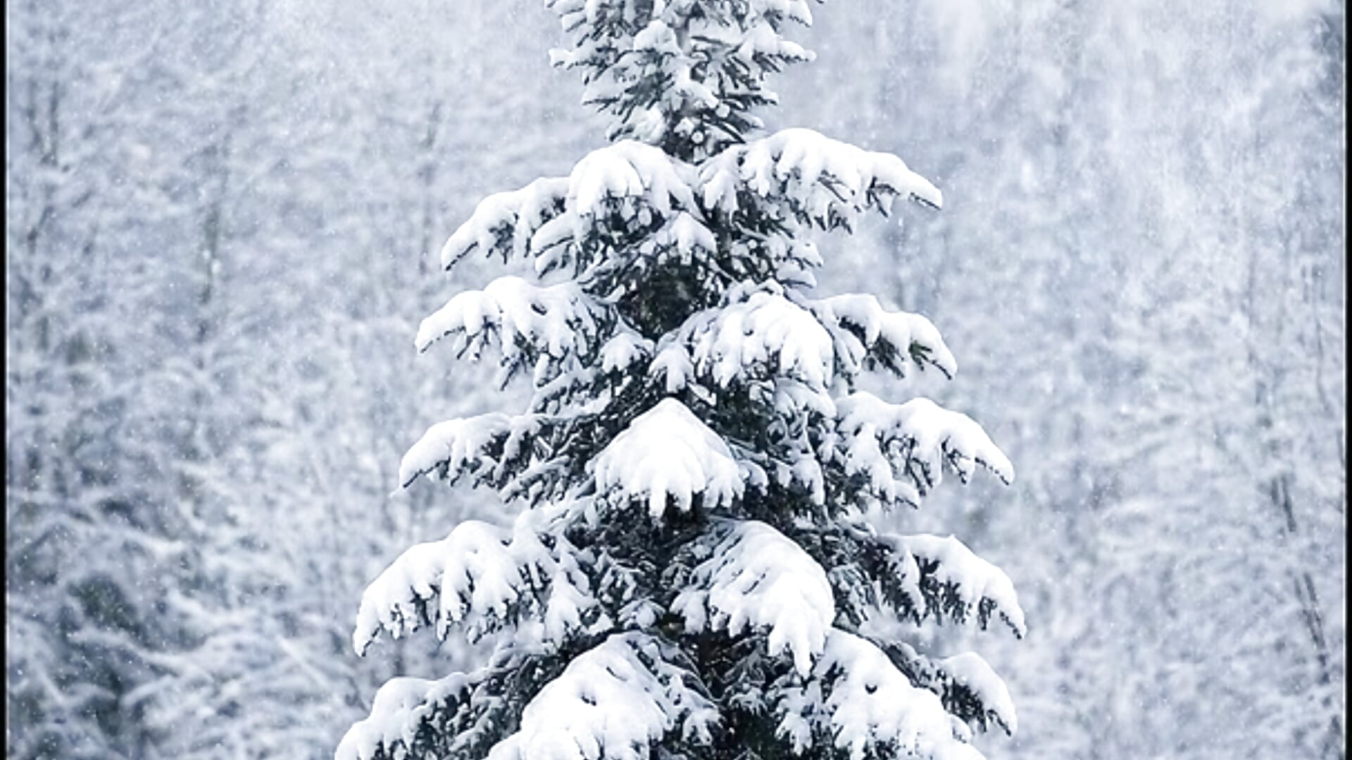 good mood - ক্যাম মডেল ValerieFisher-এর ভিডিও