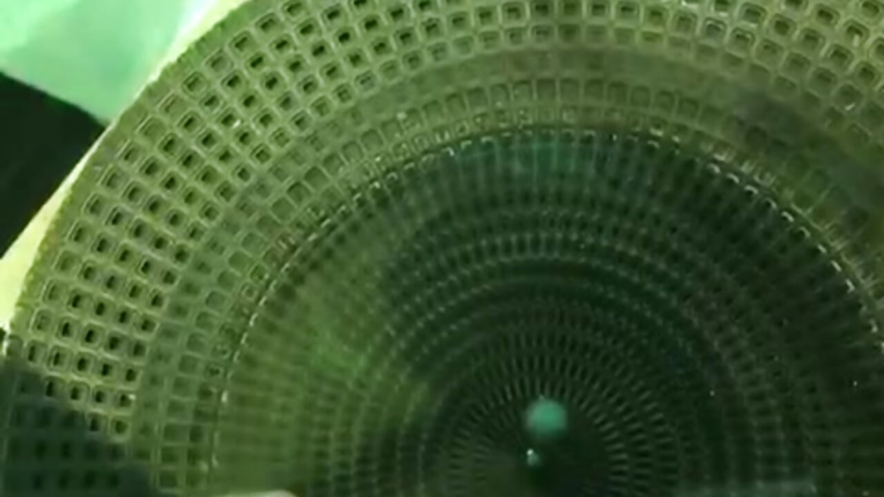 484c08ad-0ebd-40ea-8b16-5387211022ba - video by rodrigo2740 cam model