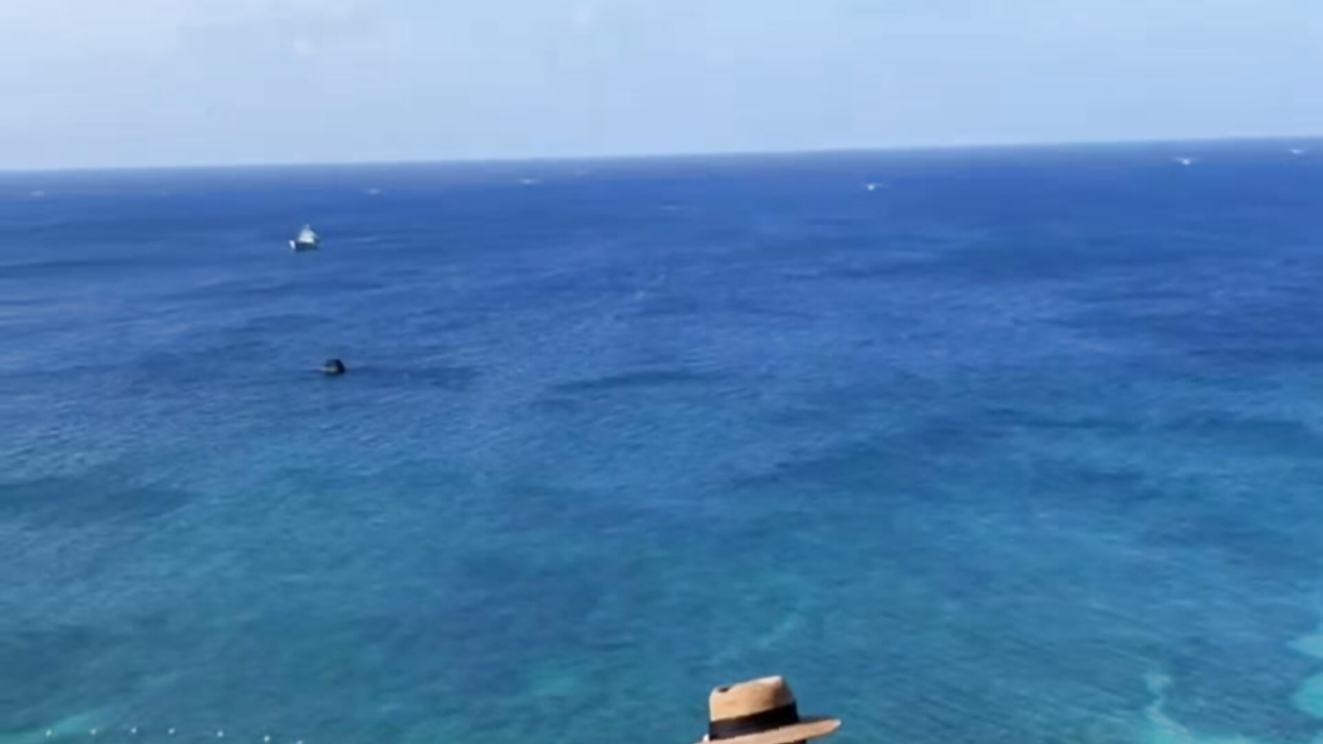 Vitamin sea 🪸🌊🐚 - video by Mochi_sweet cam model