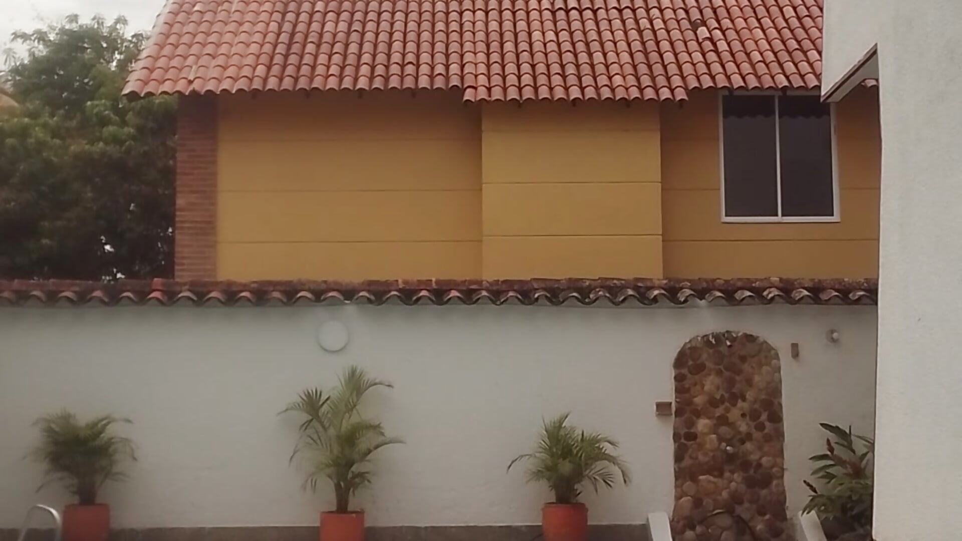 Pool and vine - video av Yunnaa-Subb cam-modell