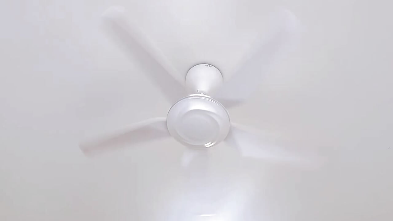 🧚🏻‍♀️ - Video von Fukumiyuuu Cam-Model