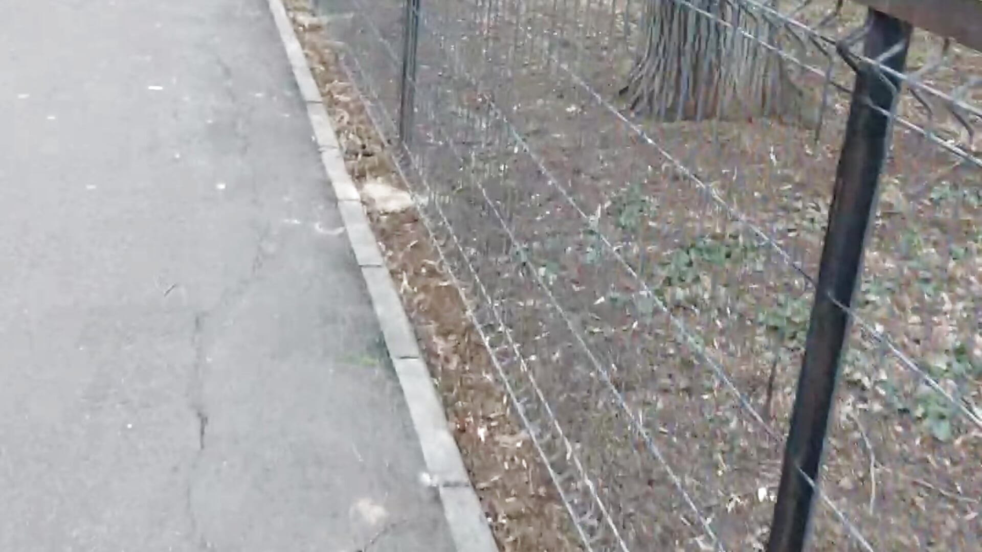 Walking on the street 😜😜😜 - video của người mẫu cam Love_Tina4ever