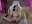 Kate solo, blow job tease masturbating pussy, cumshow with domi - vídeo de Zlata_Sky modelo de câmara