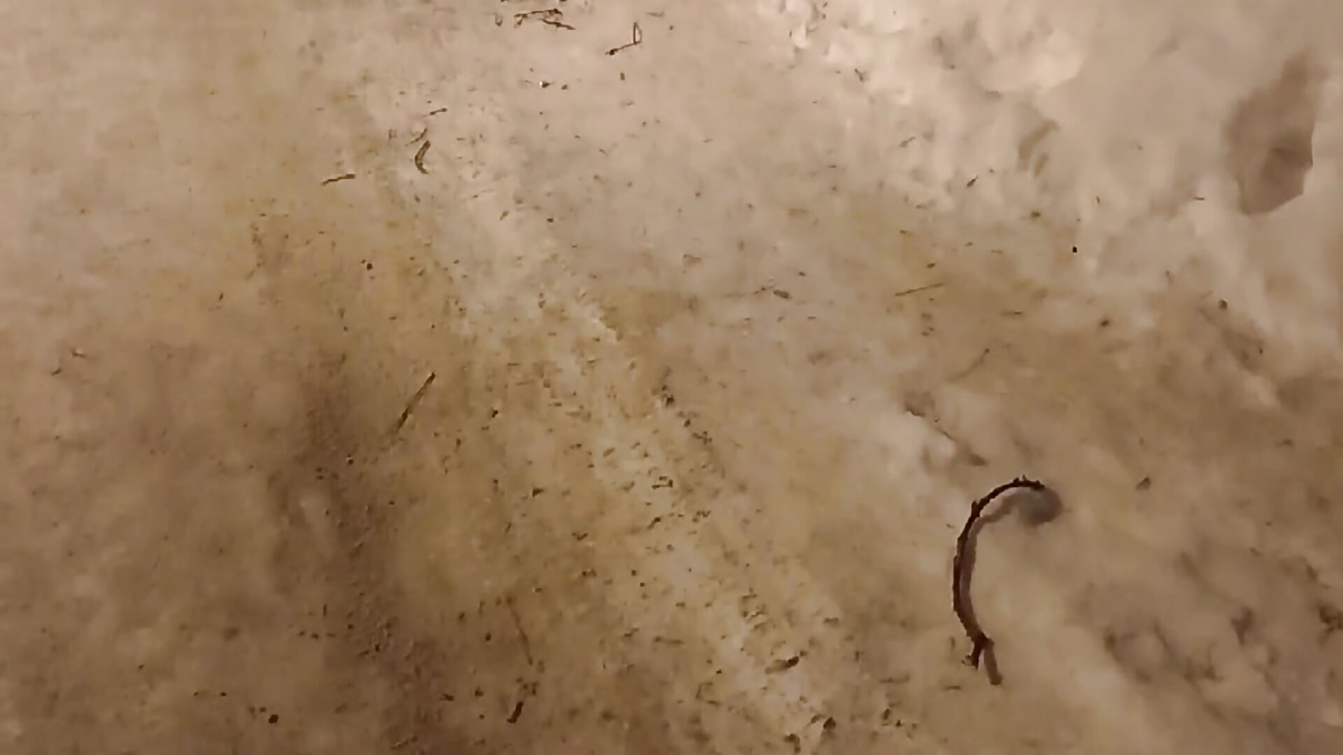 Поел сам, покорми голодных - βίντεο μοντέλου Milena_Kortez