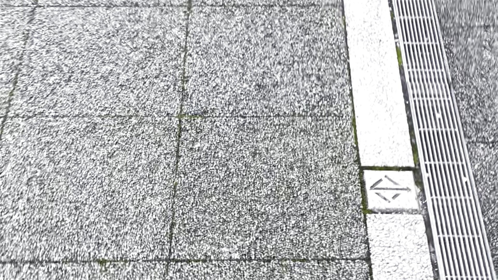 IMG_5188 - ক্যাম মডেল Oil_de_SPA-এর ভিডিও