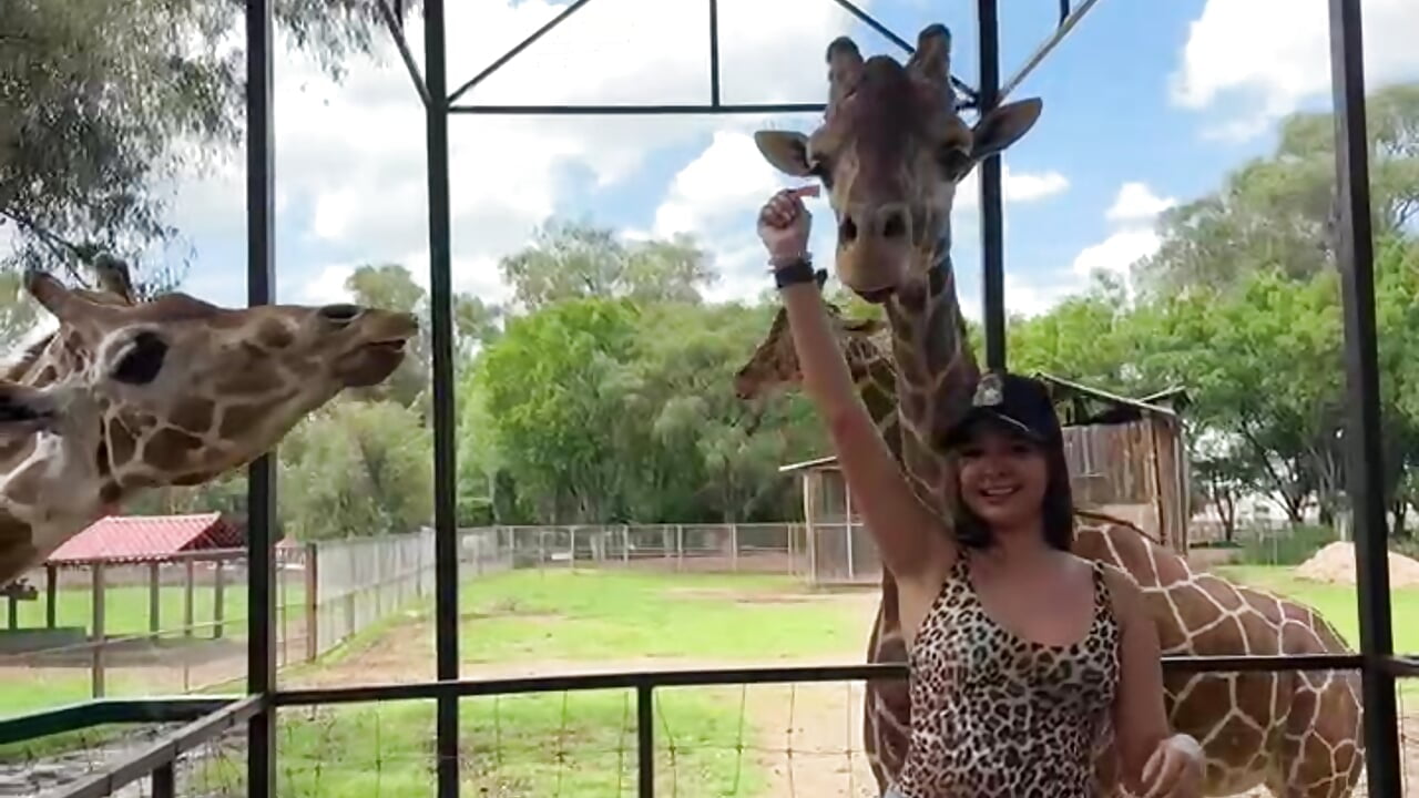 Love animals🦒 — filmik Roseee__, modela(-lki) na kamerkach