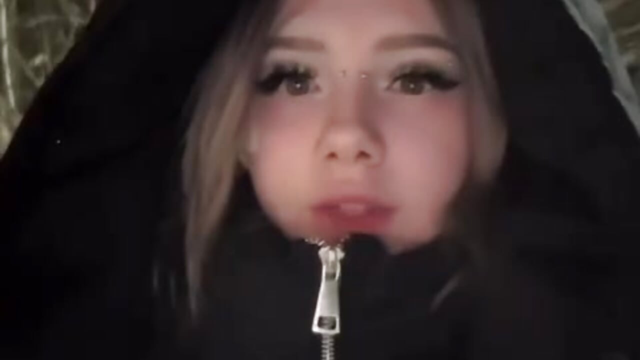 hello world! - clip cu LedAffinity model videochat