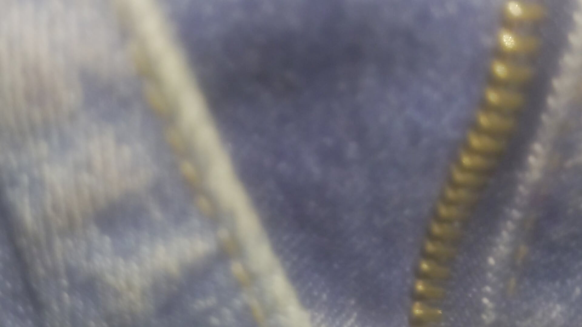 vihan_roy - Cam Modell populära videor 795