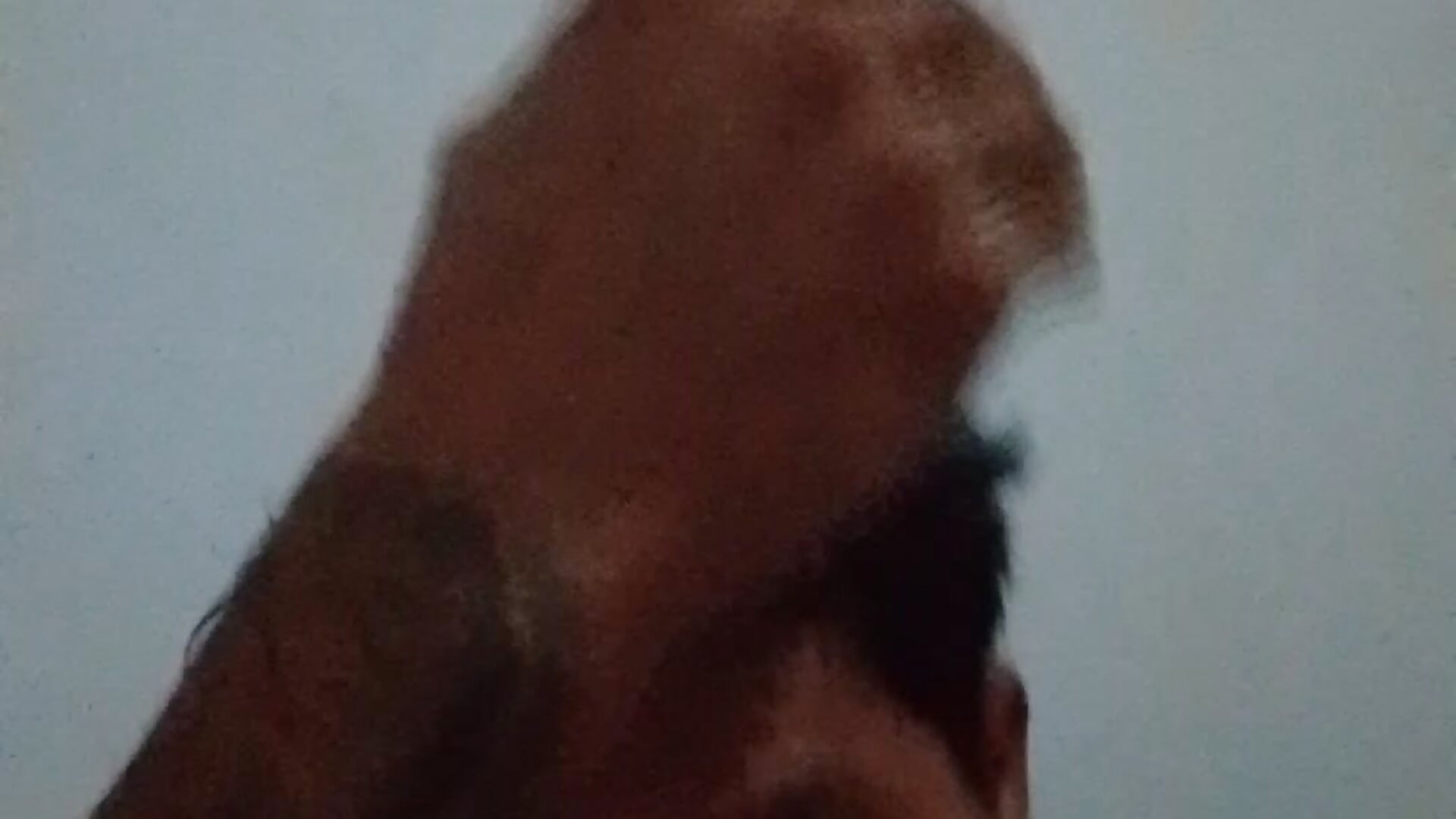 my tatto - video di dkawoks modella di cam