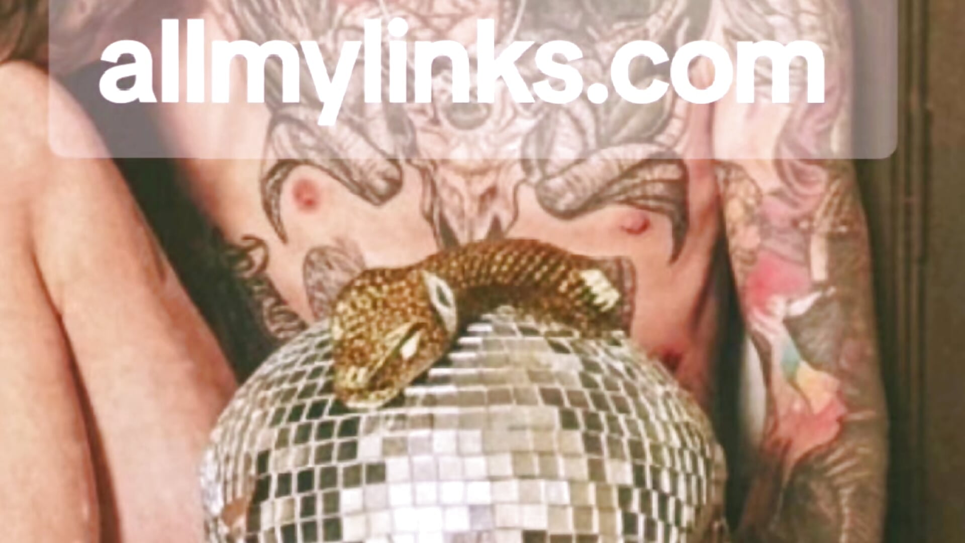 FrankieDRay – popularni video modela na kameri 2390