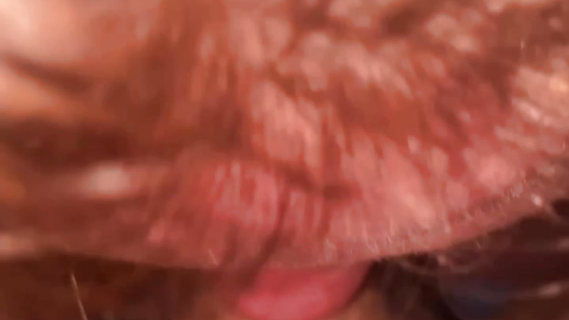 Mmmmmm Nom Nom Nom All the way DOWN! - Video von Explicitsapphire Cam-Model