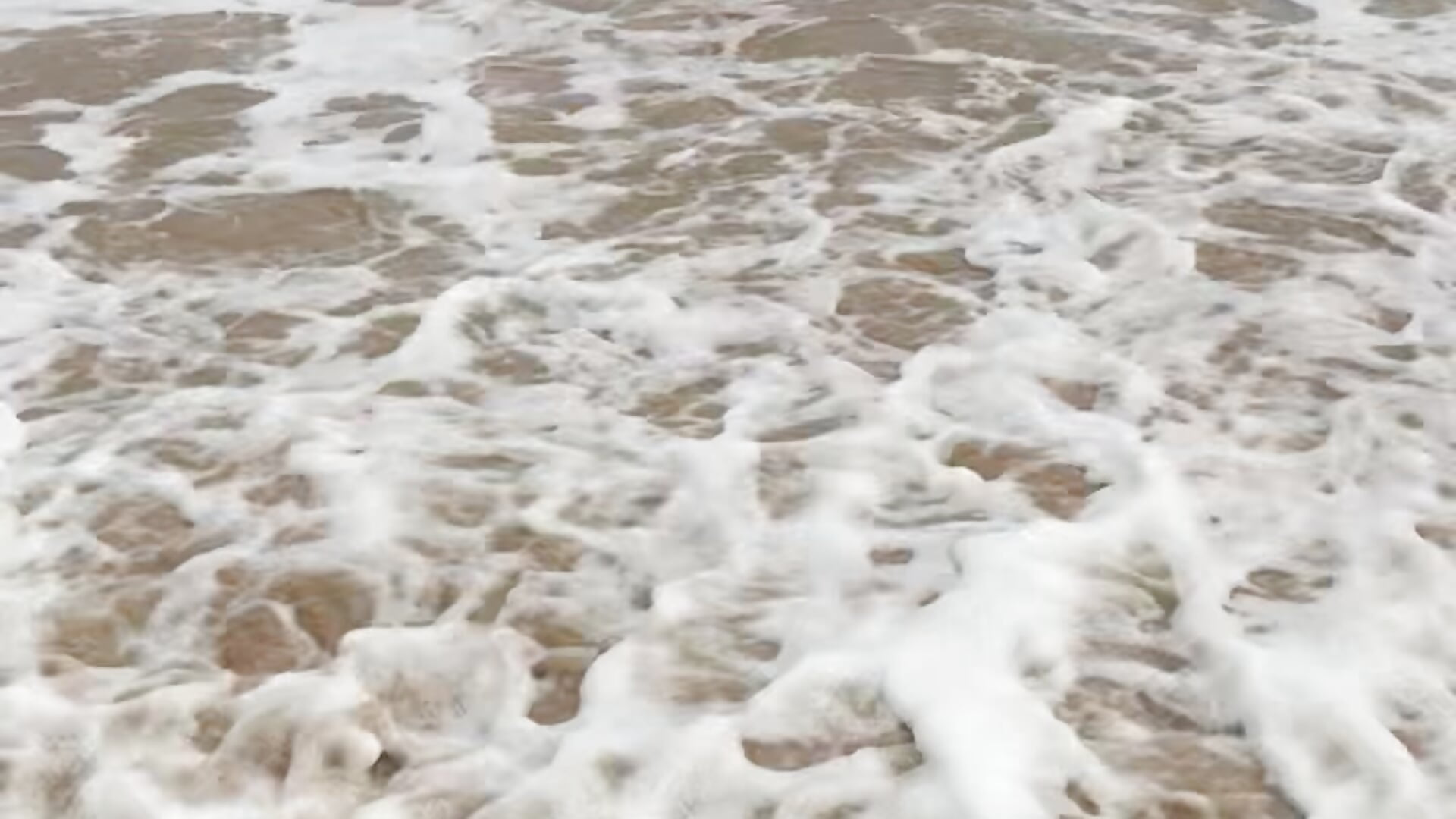 At the beach - video by lillythotz