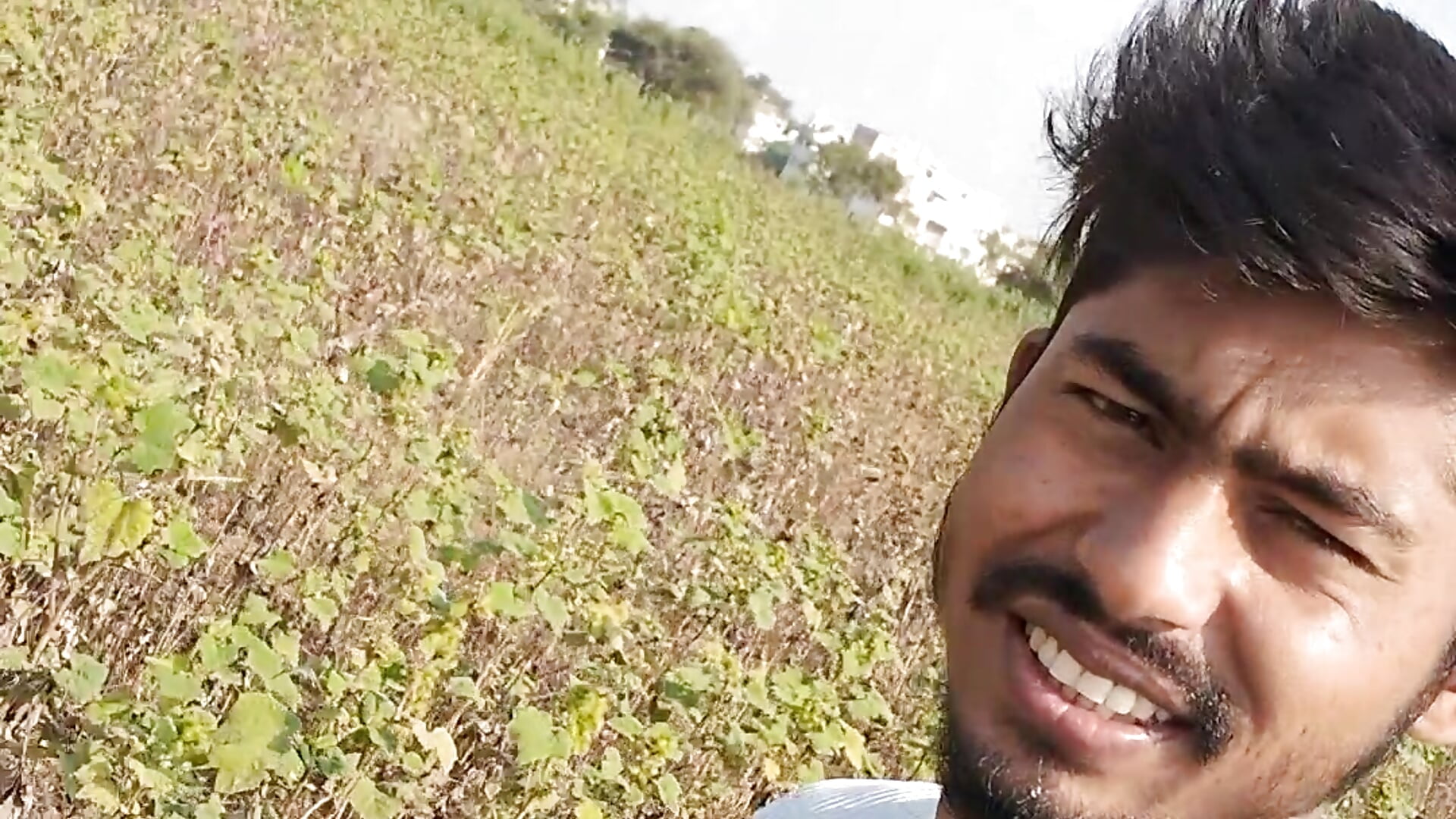 Forest Blog  activities - video by Blog200