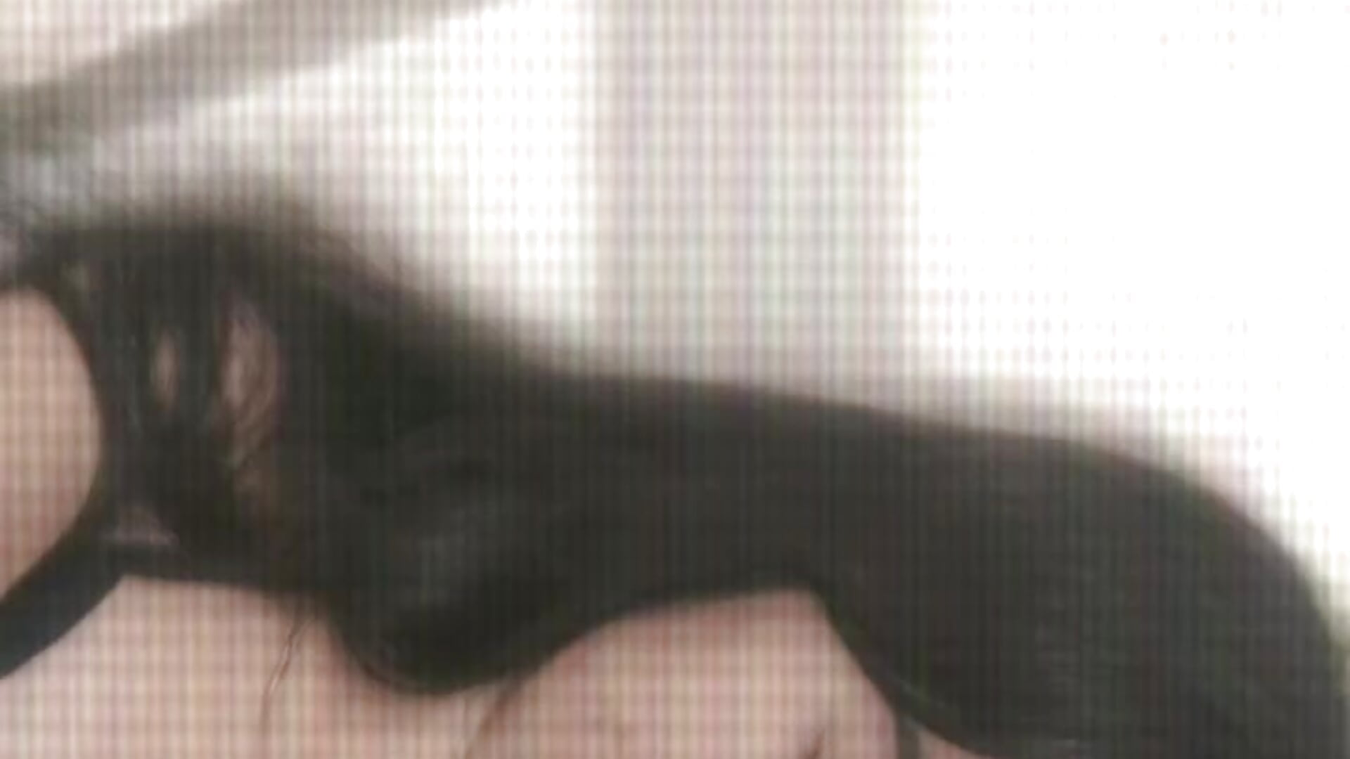 Everything - video oleh Wildcam21 kamera model