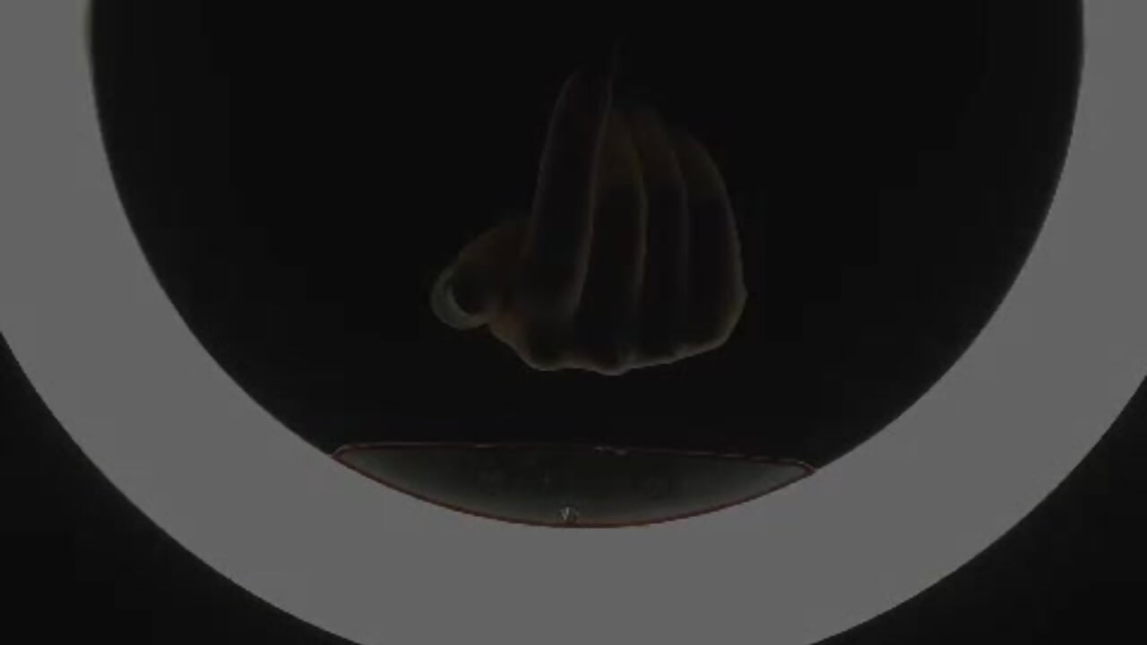 Smoke? - Vídeo de Kiarajojo, modelo de vídeos